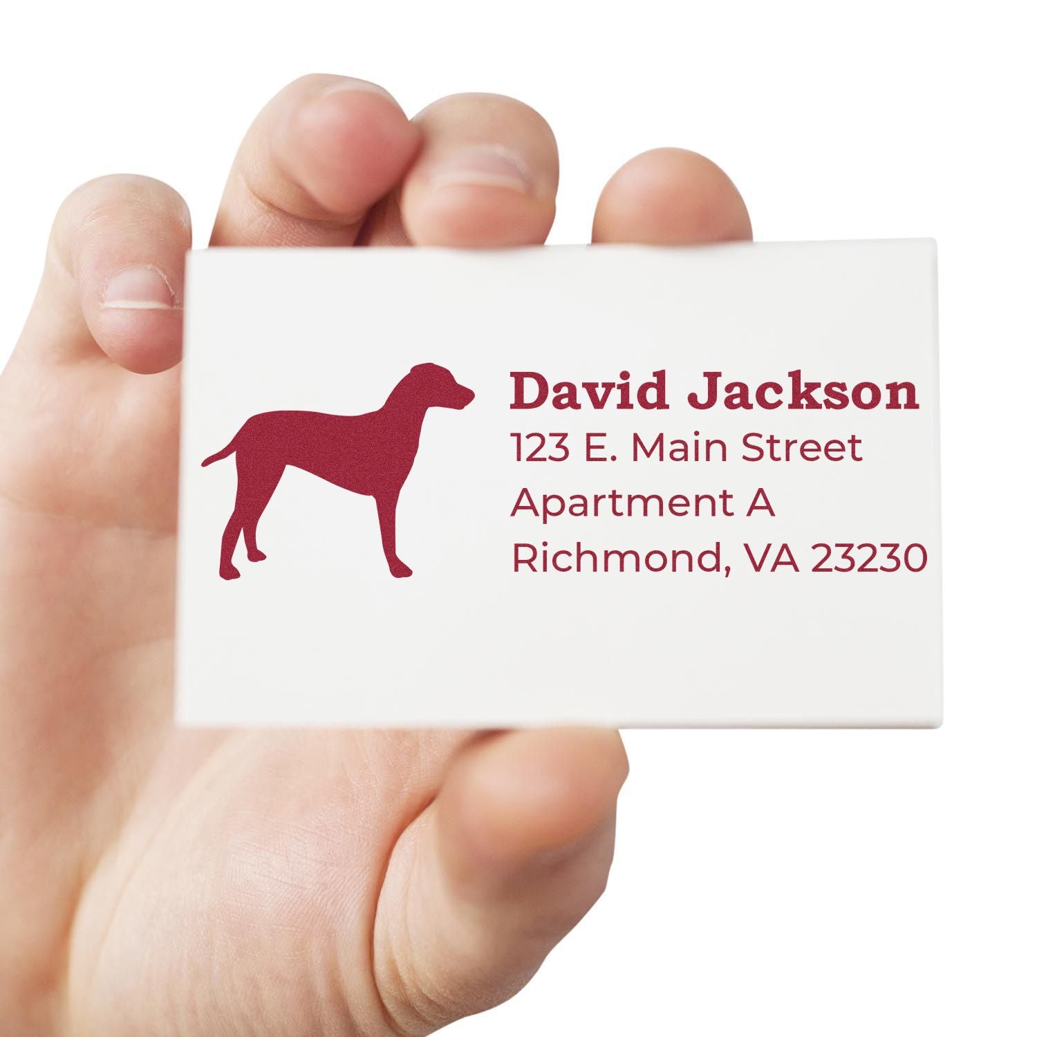 Hand holding a card stamped with a maroon Dalmatian silhouette and address details. Showcasing the Self-Inking Dalmatian Dog Address Stamp for personalized mail.