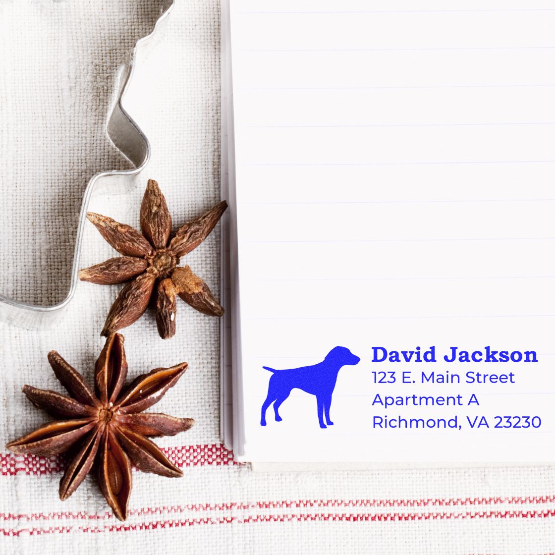 Slim Pre-Inked German Shorthaired Pointer Address Stamp on paper beside star anise and a cookie cutter, showcasing a blue dog silhouette and address details. Perfect for personalized stationery.