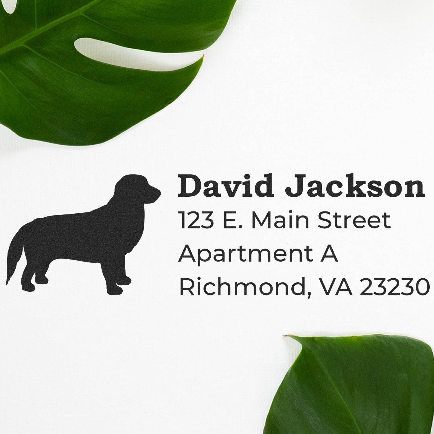 Slim Pre-Inked Golden Retriever Address Stamp on white paper with a silhouette of a dog, featuring the name David Jackson and an address. Green leaves frame the corners for a stylish touch.