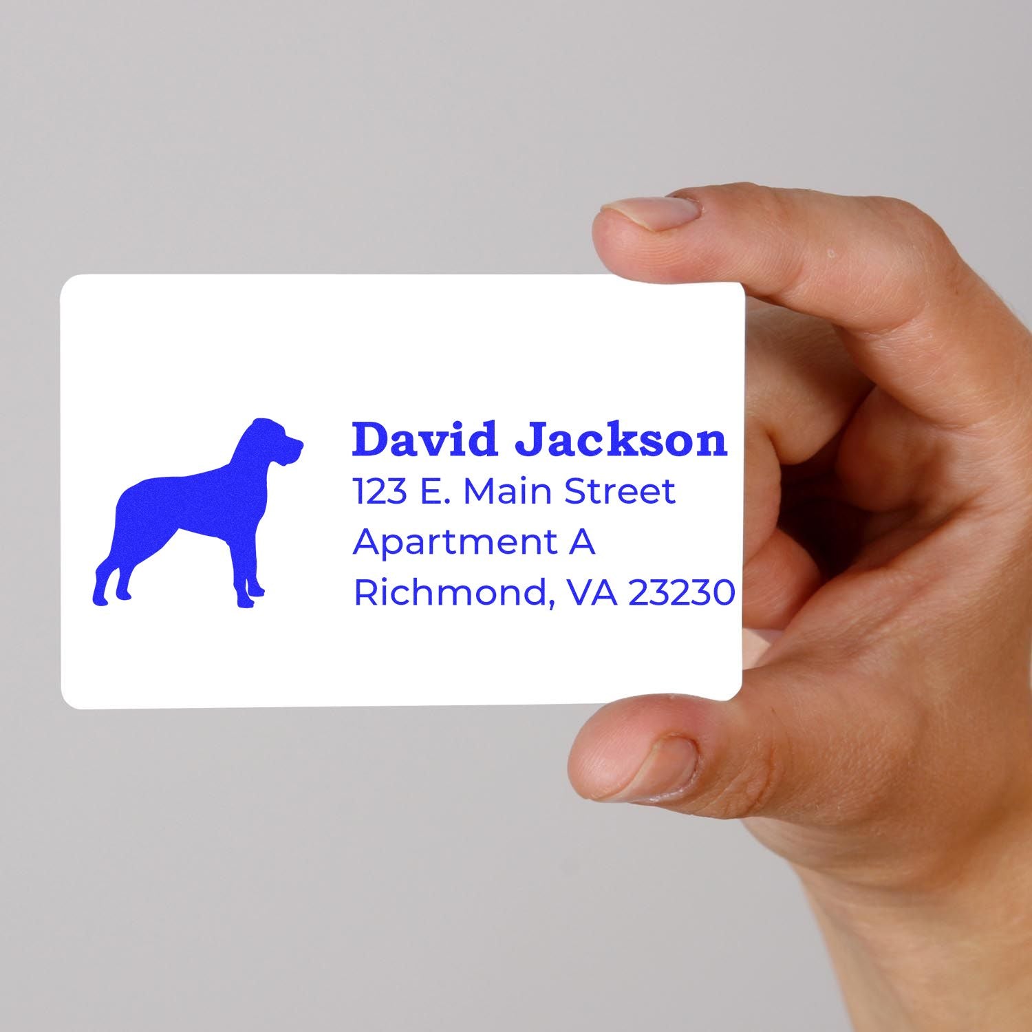 A hand holds a card stamped with the PSI Pre-Inked Personalized Great Dane Address Stamp, featuring a blue Great Dane silhouette and sample address text in bold blue font.