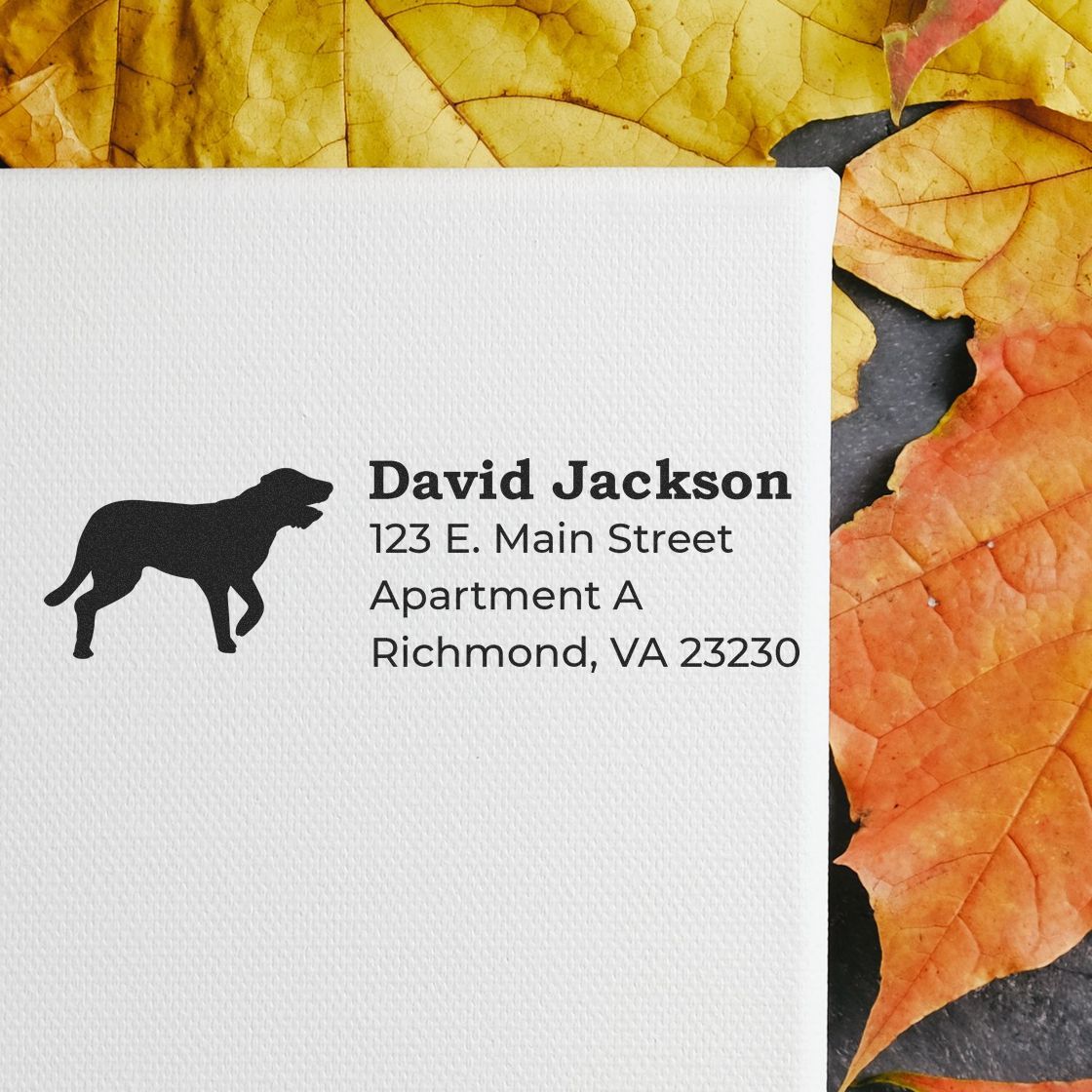 Irish Wolfhound Silhouette Address Rubber Stamp on white paper with black text, featuring a dog silhouette. Background of autumn leaves in orange and yellow hues.