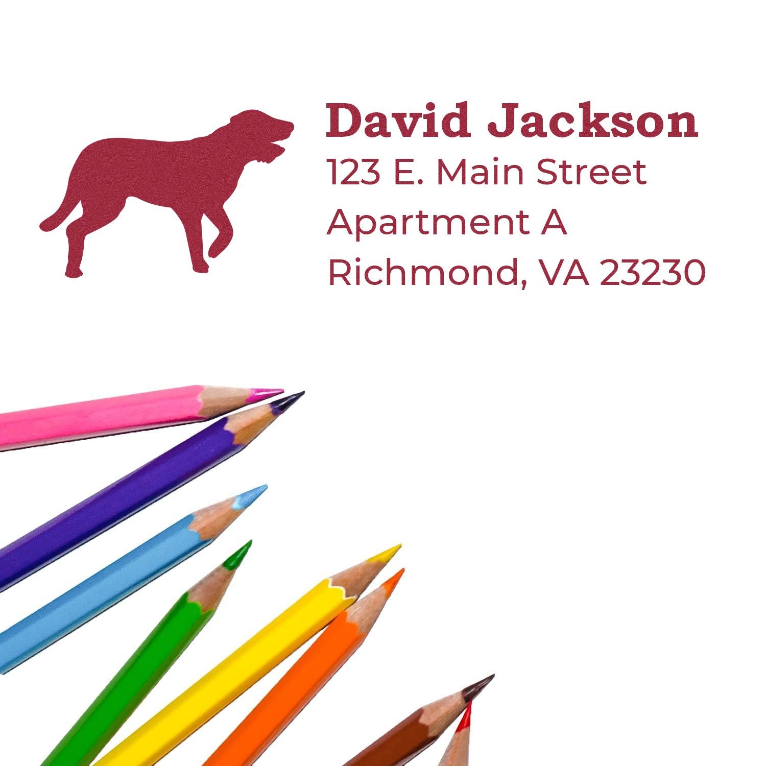 Slim Pre-Inked Irish Wolfhound Address Stamp on white paper with colorful pencils. Features a red silhouette of an Irish Wolfhound and sample address text in elegant font.