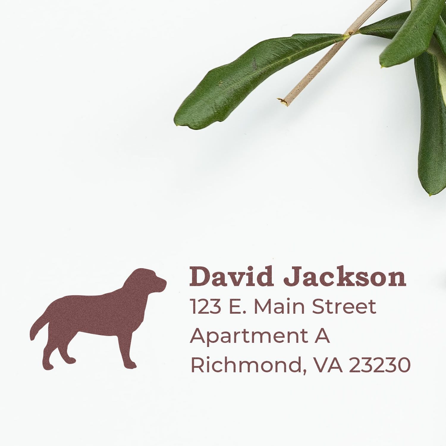 Labrador Silhouette Address Rubber Stamp on white paper with a brown Labrador design, personalized address details, and a green branch in the corner.