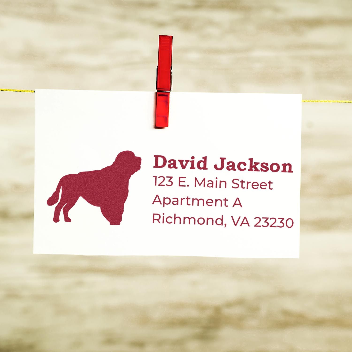 Self-Inking Portuguese Water Dog Address Stamp on white card with red dog silhouette, clipped to a line. Text reads: David Jackson, 123 E. Main Street, Apartment A, Richmond, VA 23230.