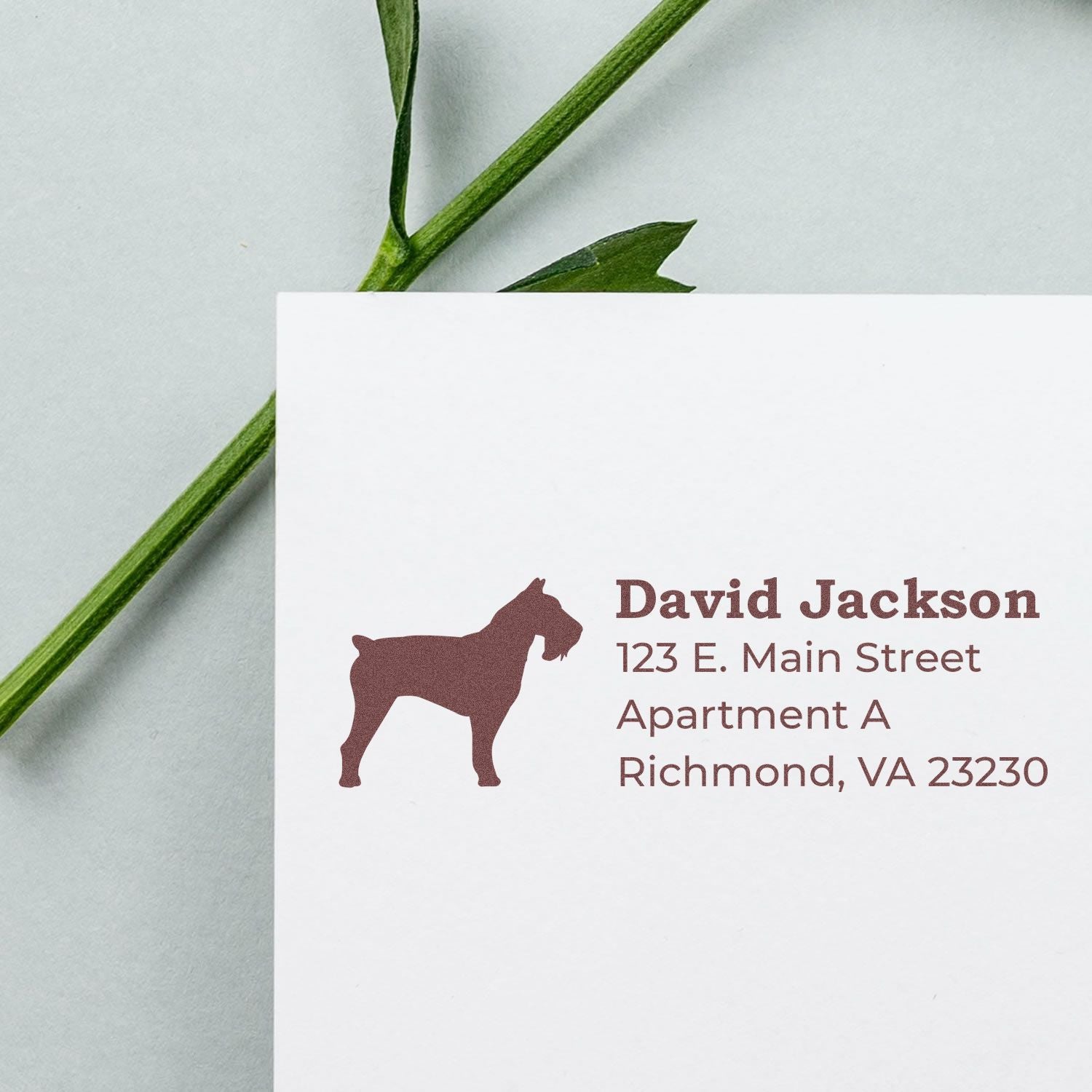 PSI Pre-Inked Personalized Schnauzer Address Stamp on white paper with a schnauzer silhouette, next to a green stem on a light gray background.