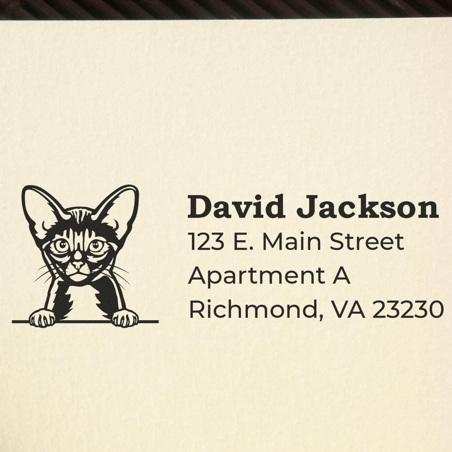 Slim Pre-Inked Abyssinian Peeking Cat Return Address Stamp on envelope, featuring a cute cat illustration above the address 'David Jackson, 123 E. Main Street, Apartment A, Richmond, VA 23230'.