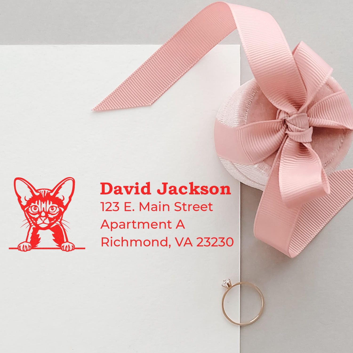 Self-Inking Abyssinian Custom Address Stamp on white envelope with red cat design, pink ribbon, and ring. Text reads: David Jackson, 123 E. Main Street, Apartment A, Richmond, VA 23230.