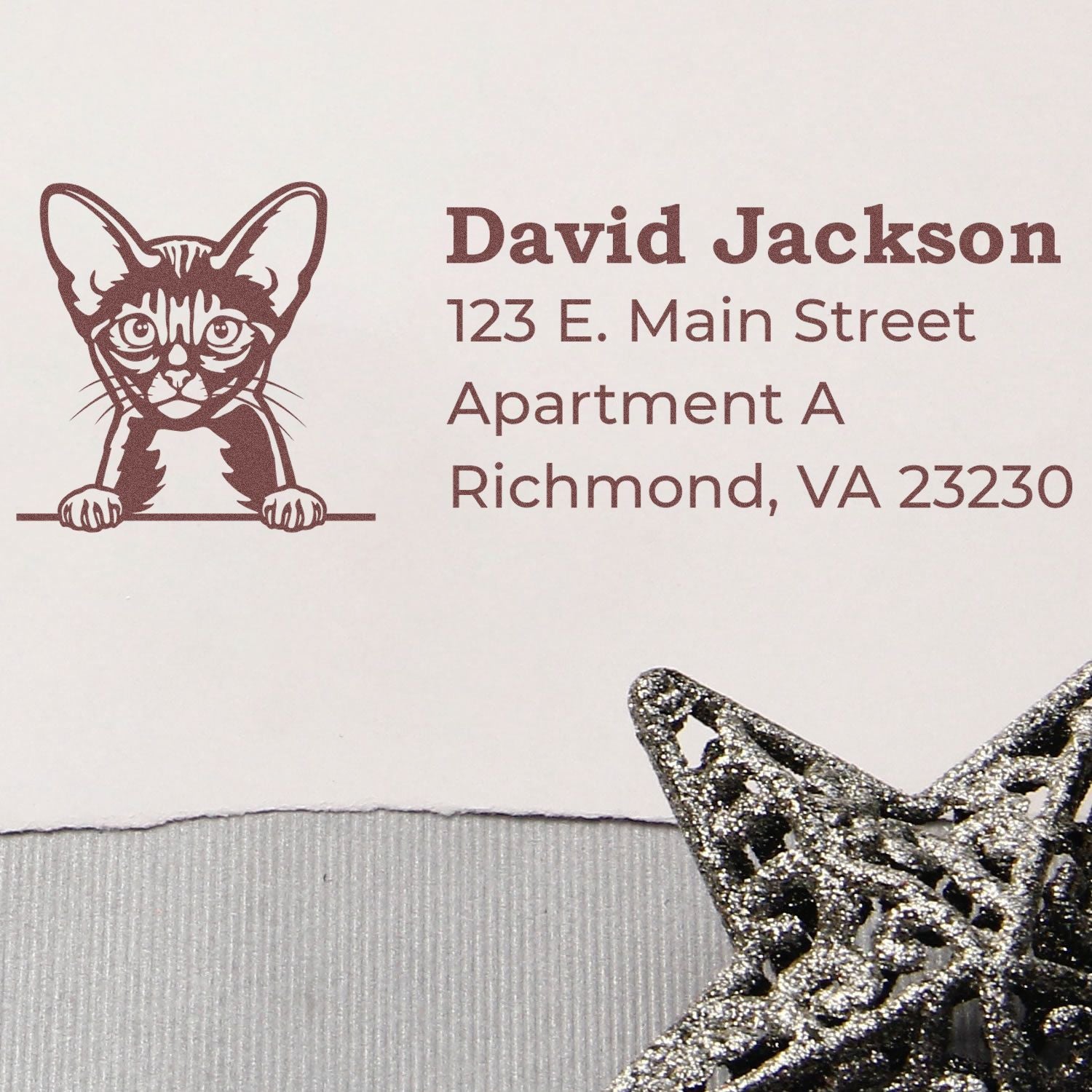 Slim Pre-Inked Abyssinian Peeking Cat Return Address Stamp on an envelope with a cute cat design, featuring the name David Jackson and address details. A decorative star is partially visible.