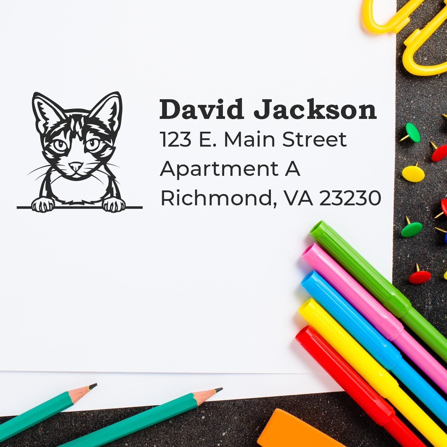 Slim Pre-Inked Aegean Peeking Cat Return Address Stamp on white paper with colorful pens and paperclips. Features a cat illustration above the address text.