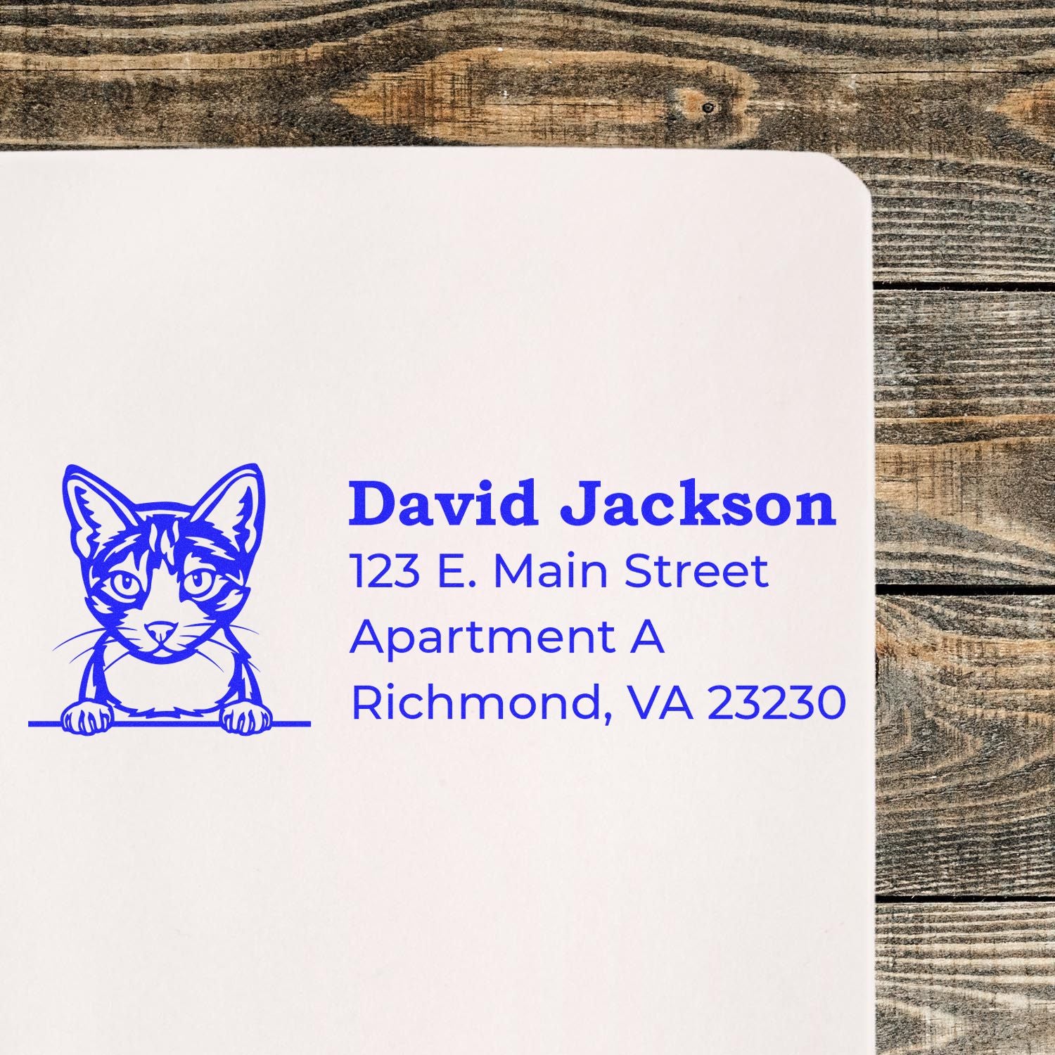 PSI Pre-Inked Peeking Aegean Cat Personalized Address Stamp on paper, featuring a blue cat illustration above the name and address in blue text, placed on a wooden surface.