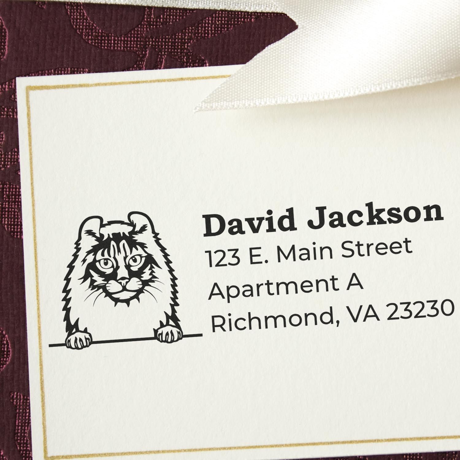 PSI Pre-Inked Peeking American Curl Cat Personalized Address Stamp on an envelope, featuring a cute cat illustration above the address details.