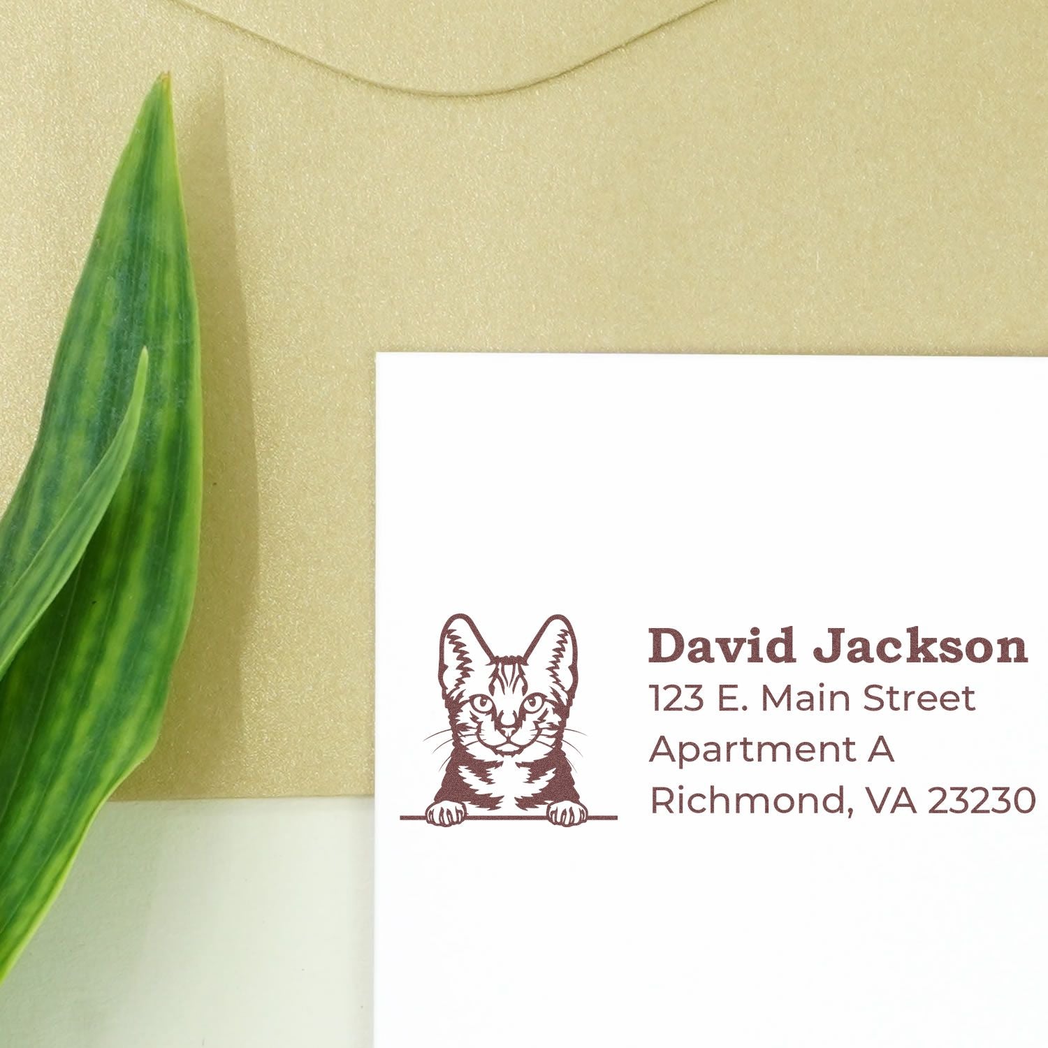 Wood Handle American Shorthair Cat Address Stamp on white envelope with green leaf and beige background. Features a cat illustration above the address text. Perfect for personalized stationery.