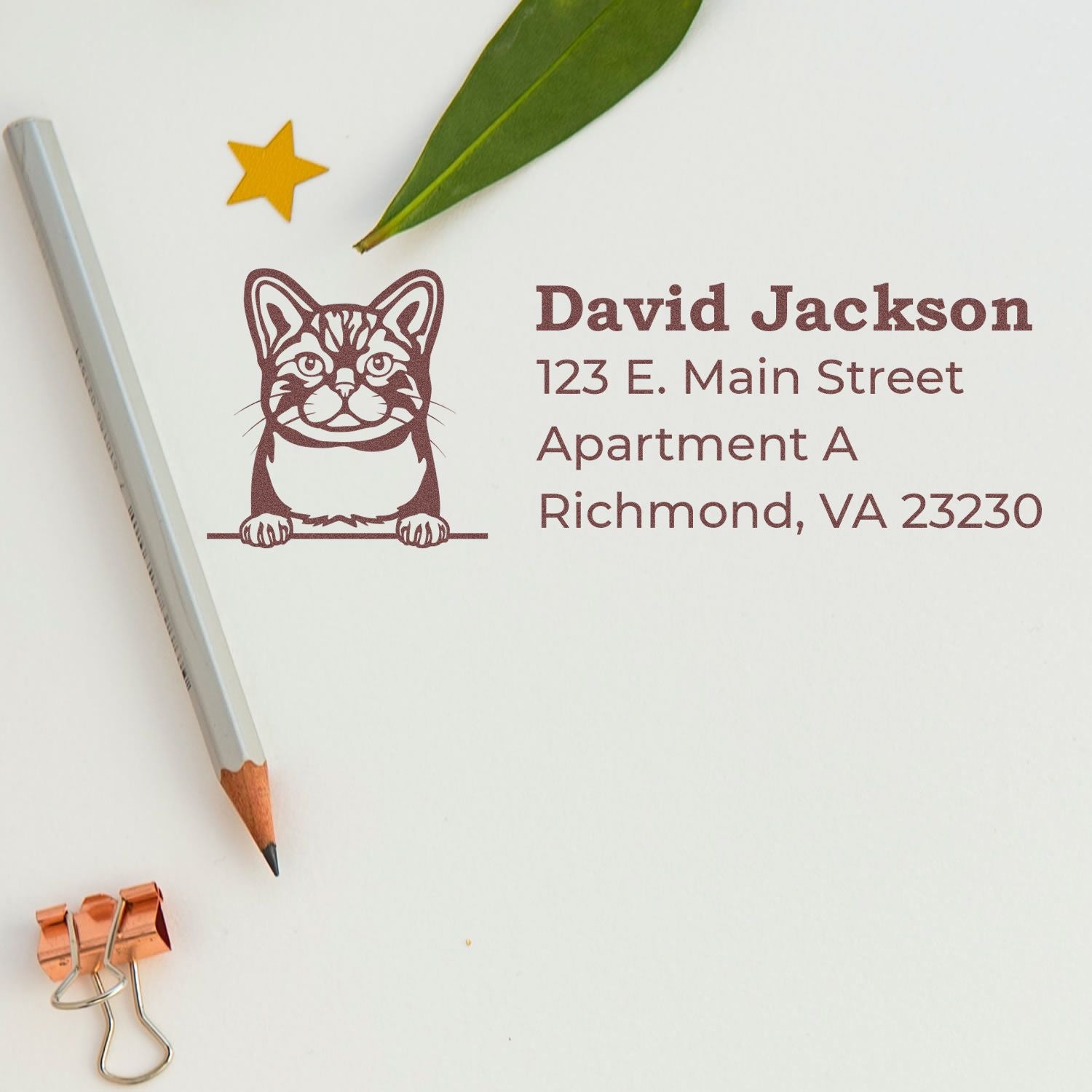 Wood Handle American Wirehair Cat Address Stamp on paper with a cat illustration, address details, pencil, leaf, star sticker, and copper clips. Perfect for personalized mail.