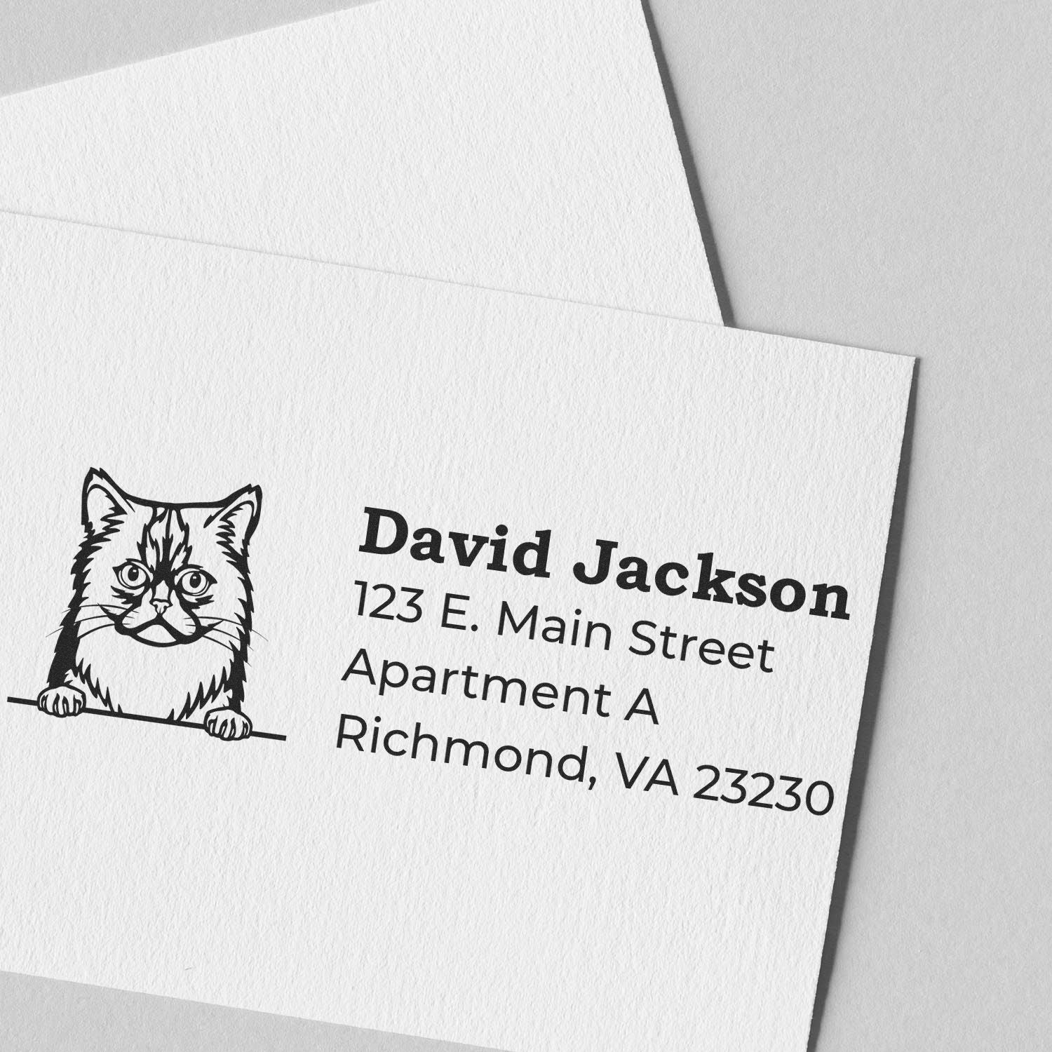 Wood Handle Asian Semi Long Hair Cat Address Stamp on white paper, featuring a cute cat illustration and sample address text in bold, clear font. Perfect for personalizing mail with feline charm.