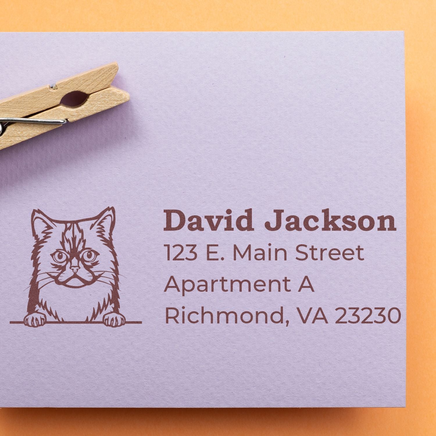 PSI Pre-Inked Peeking Asian Semi Long Hair Cat Personalized Address Stamp on an envelope with a cat illustration and address details, set against an orange background with a clothespin.