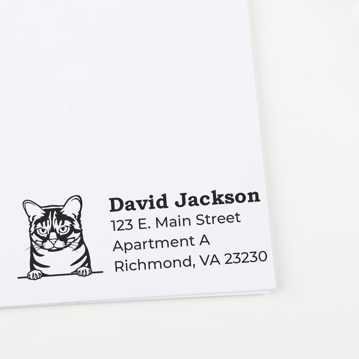 Self-Inking Australian Mist Custom Address Stamp on white paper, featuring a cat illustration and sample address: David Jackson, 123 E. Main Street, Apartment A, Richmond, VA 23230.