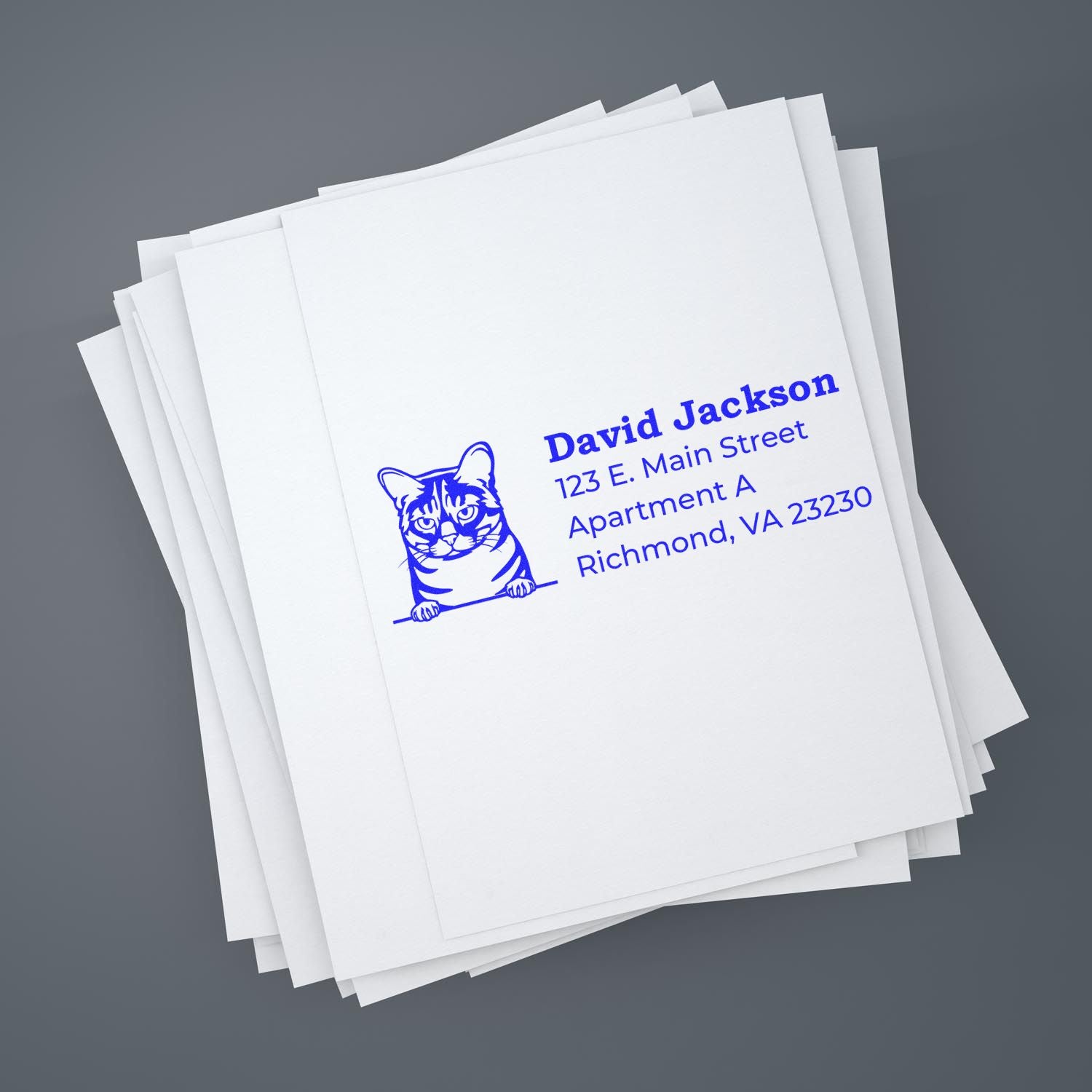 Stack of envelopes stamped with a blue cat design and address using the Self-Inking Australian Mist Custom Address Stamp.