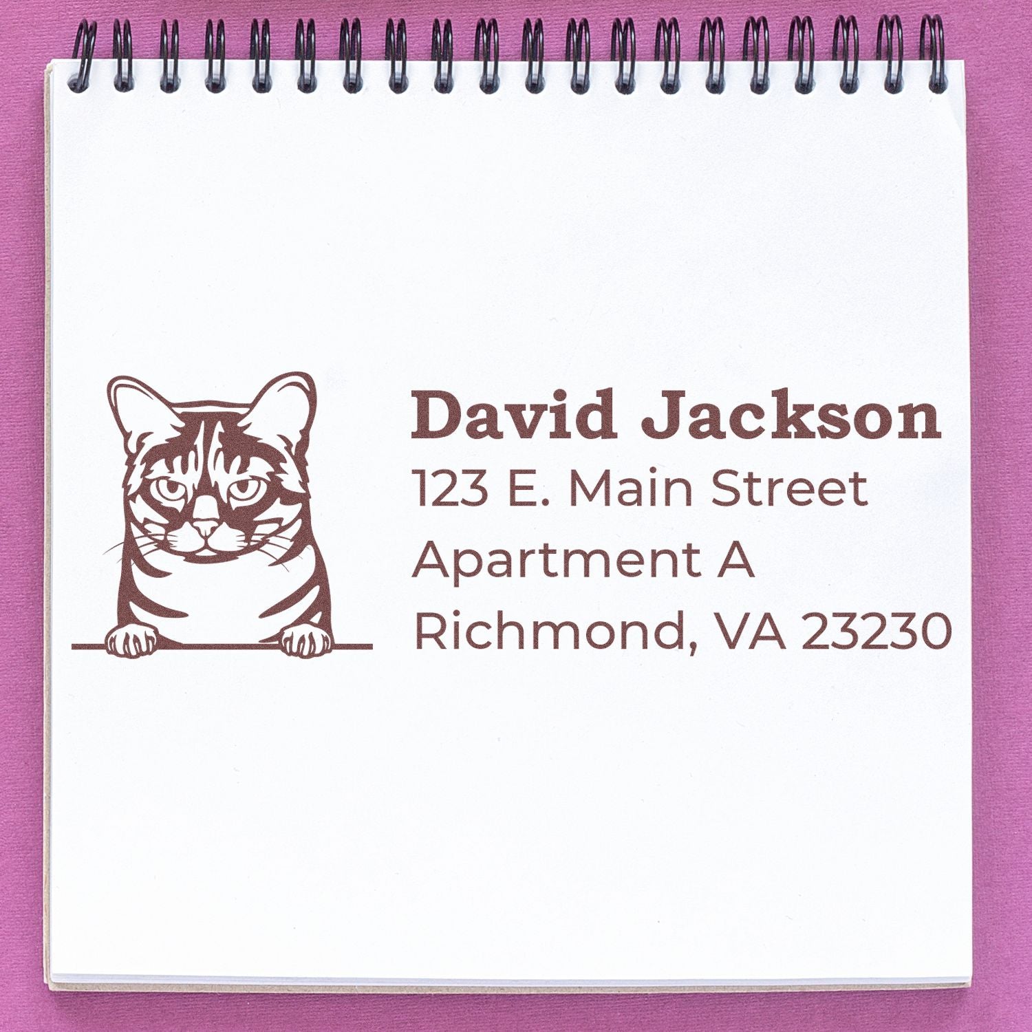 PSI Pre-Inked Peeking Australian Mist Cat Personalized Address Stamp on notepad, featuring a cat illustration and sample address in brown ink.