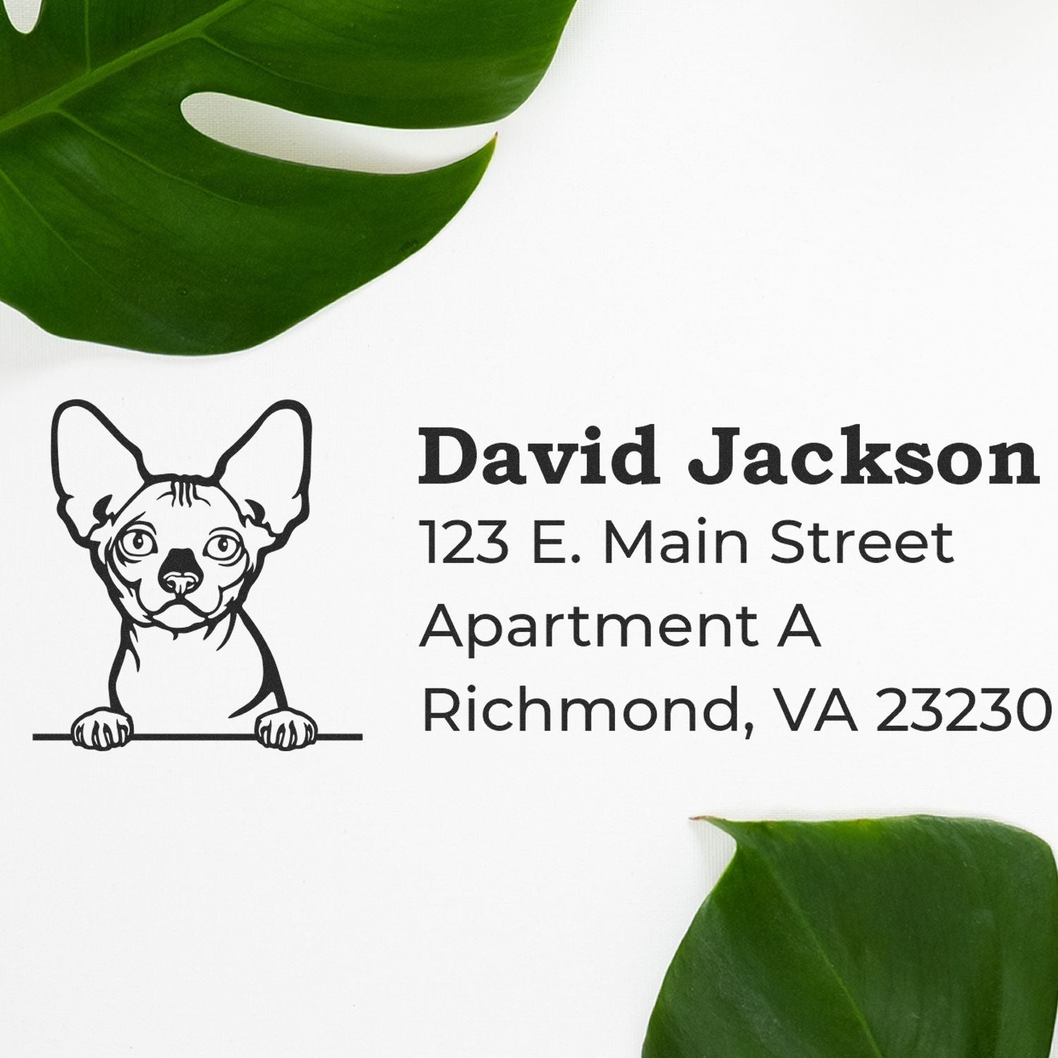 Self-Inking Bambino Custom Address Stamp featuring a cute dog illustration and sample address on a white background with green leaves. Perfect for personalized mail and stationery.