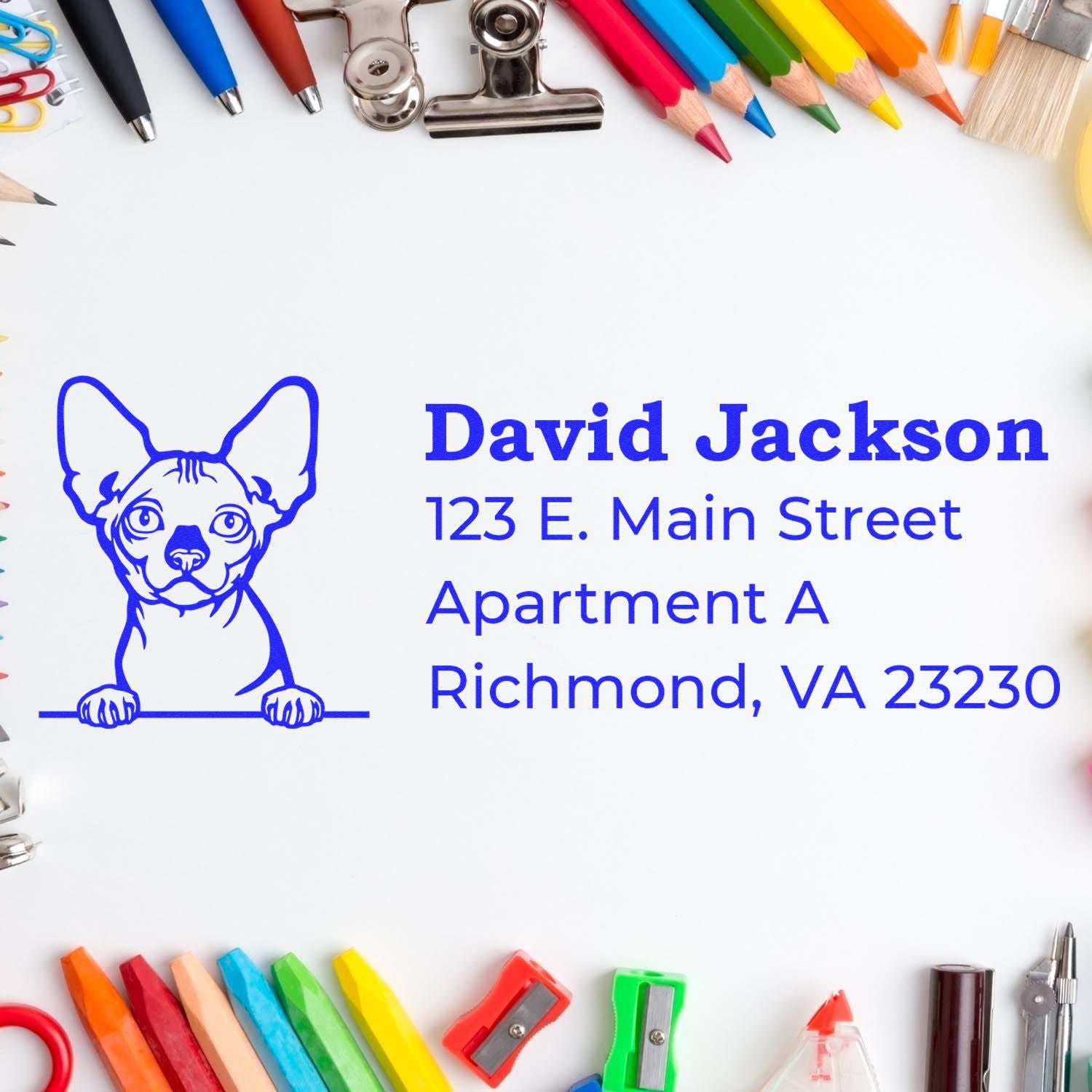 A Slim Pre-Inked Bambino Peeking Cat Return Address Stamp on white paper, surrounded by colorful stationery, featuring a cat illustration and sample address text in blue.