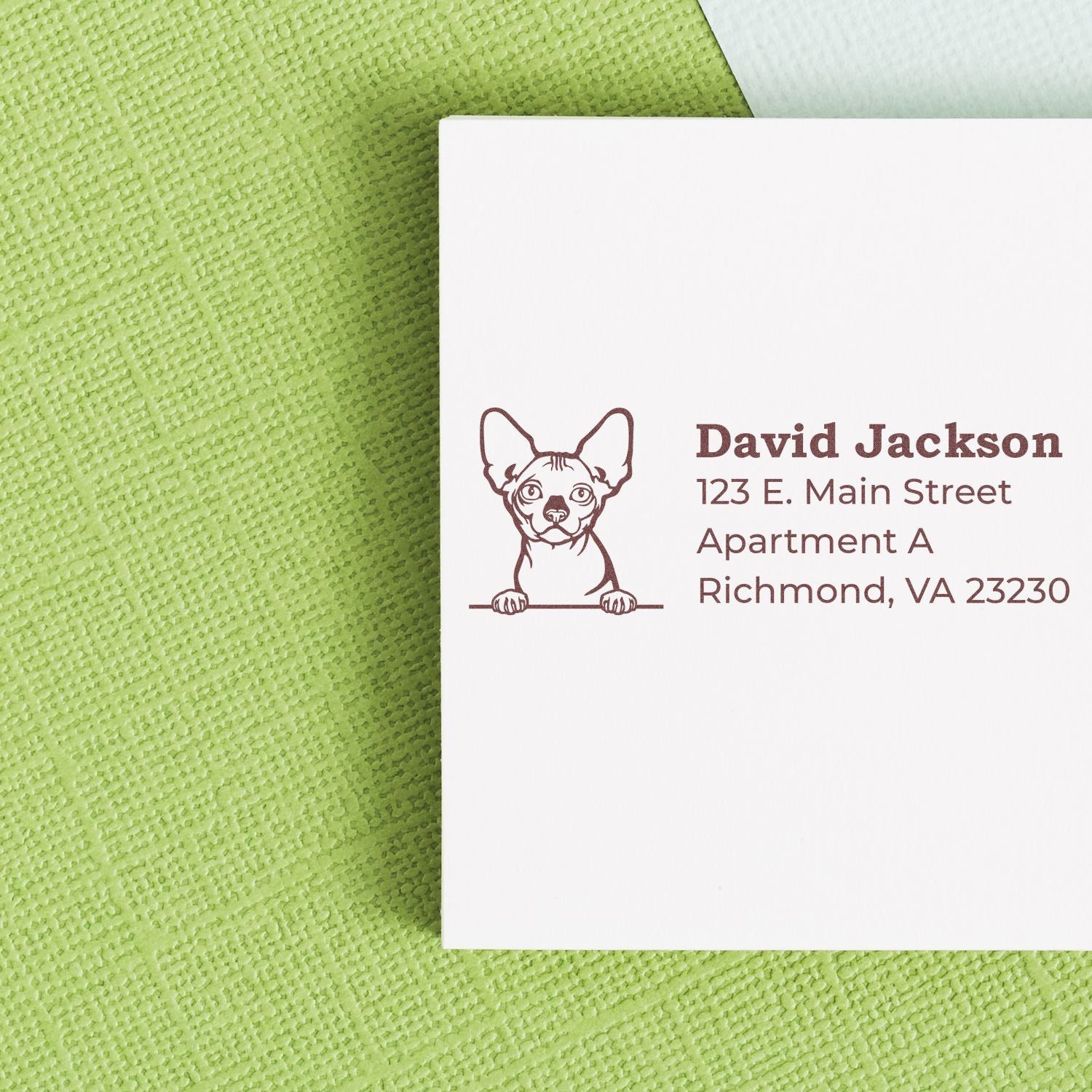 Wood Handle Bambino Cat Address Stamp on white paper with a cute cat illustration and address details, placed on a textured green surface.