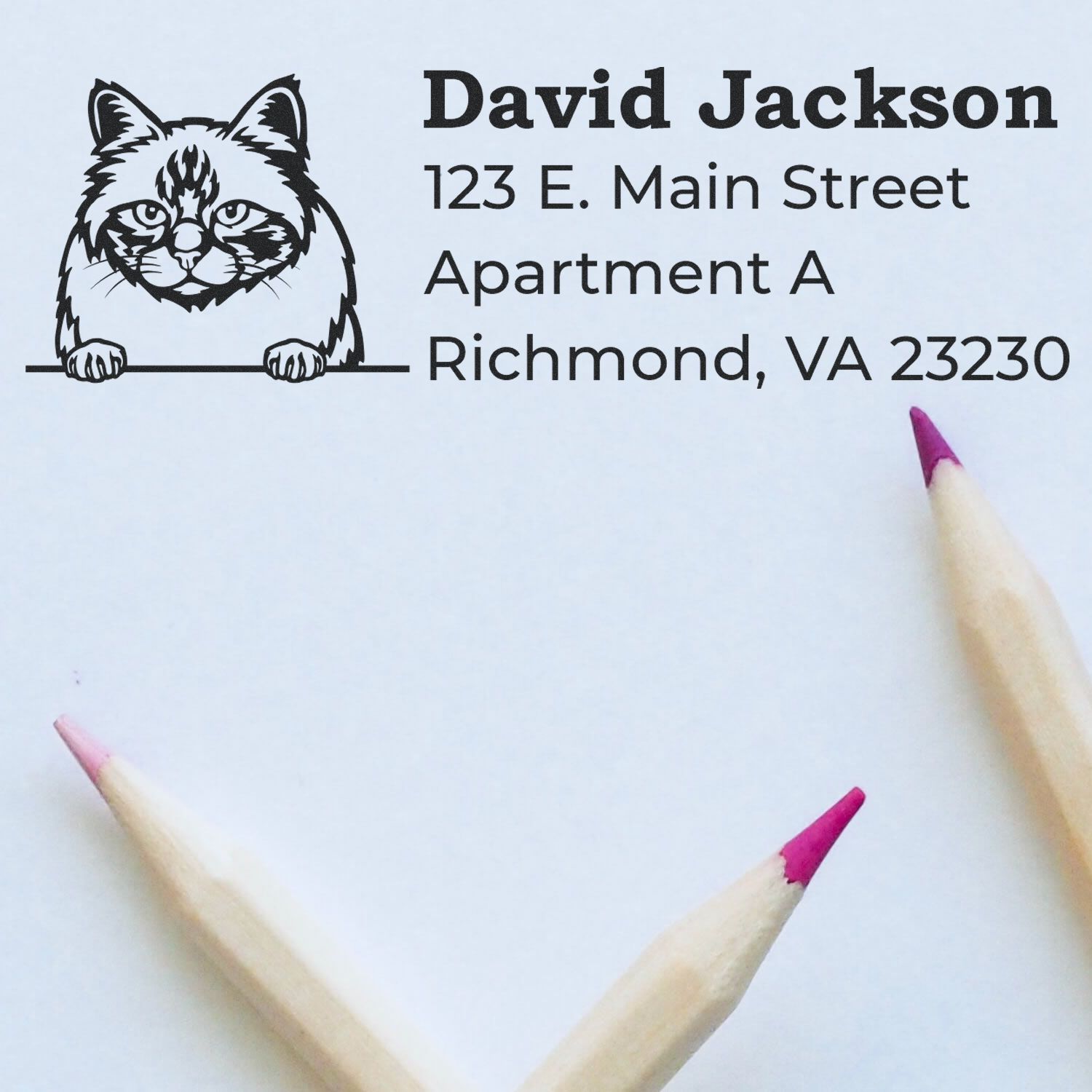 PSI Pre-Inked Peeking Birman Cat Personalized Address Stamp on paper with pink-tipped pencils. Features a cat illustration above the address text.