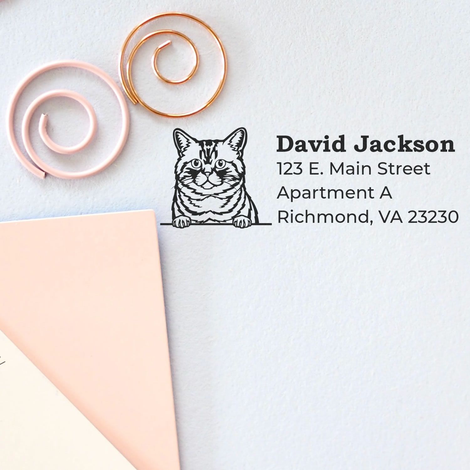 Self-Inking Brazilian Shorthair Custom Address Stamp on paper with a cat illustration, showing an address. Nearby are pink and gold paper clips and pastel stationery.