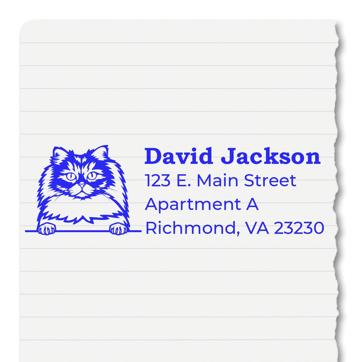 Self-Inking British Longhair Custom Address Stamp on lined paper, featuring a blue illustration of a British Longhair cat with personalized address details in bold blue text.