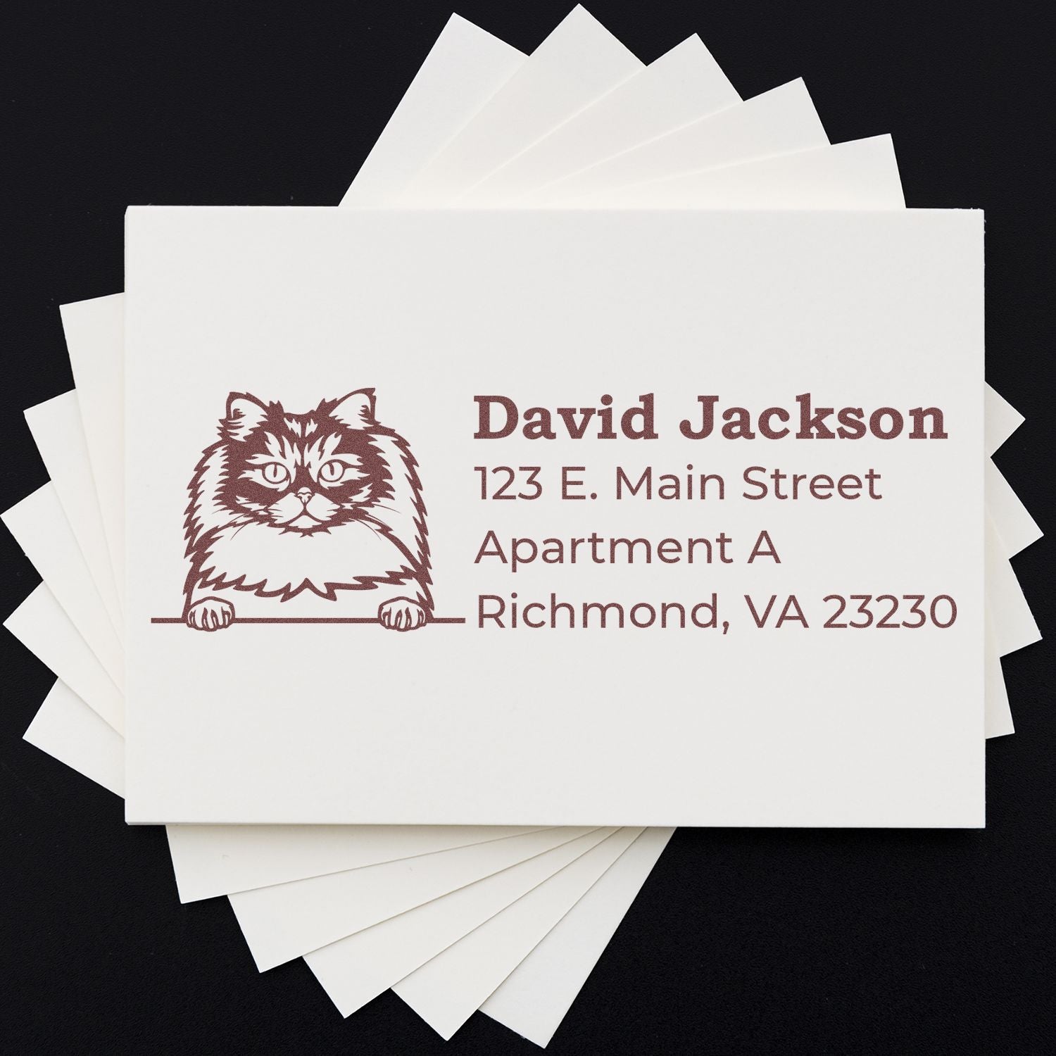 PSI Pre-Inked Peeking British Longhair Cat Personalized Address Stamp on white cards, featuring a cute cat illustration and sample address in elegant font. Perfect for adding a personal touch.