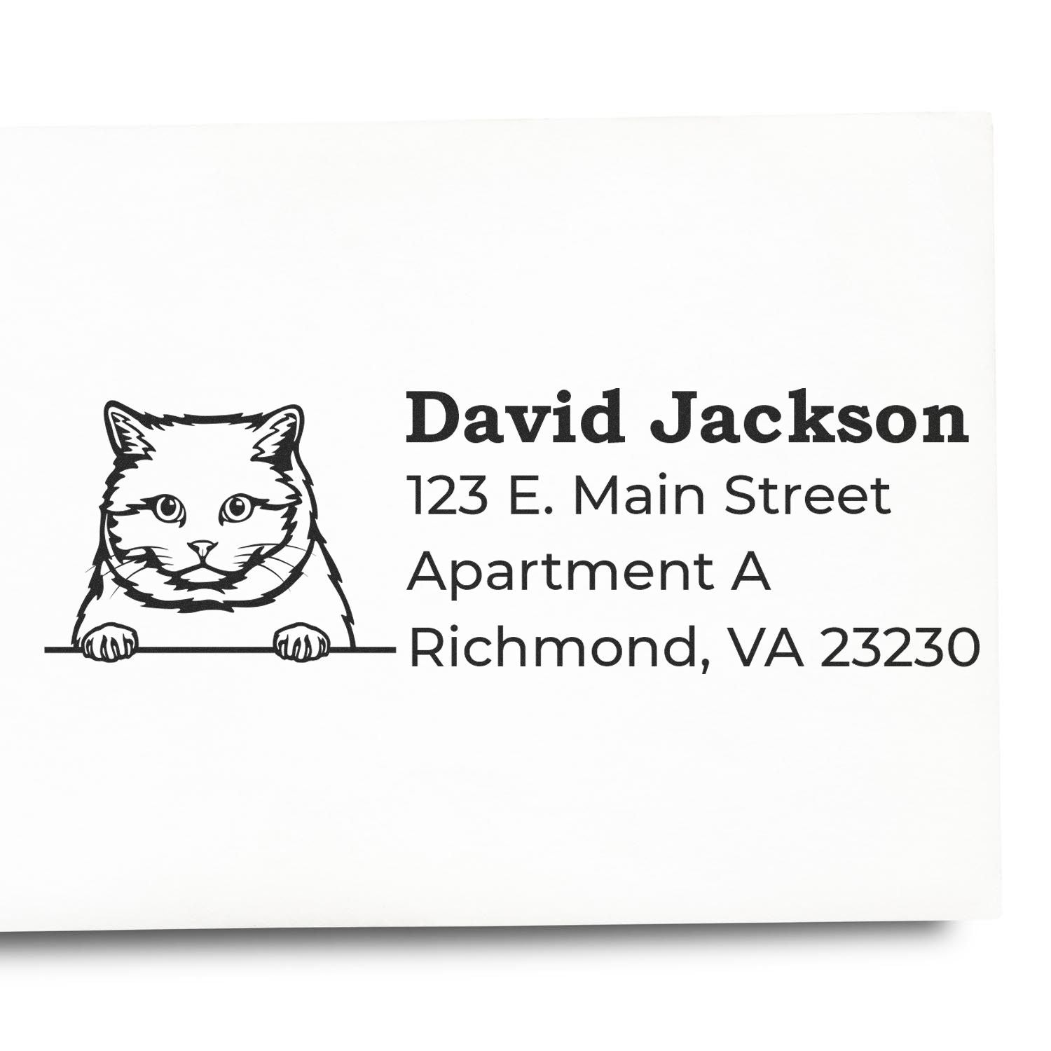 PSI Pre-Inked Peeking British Shorthair Cat Personalized Address Stamp on white paper, featuring a cute cat illustration above a sample address in bold, clear text.