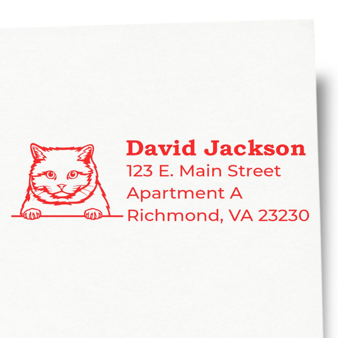 Self-Inking British Shorthair Custom Address Stamp featuring a red cat illustration and personalized address details on white paper.