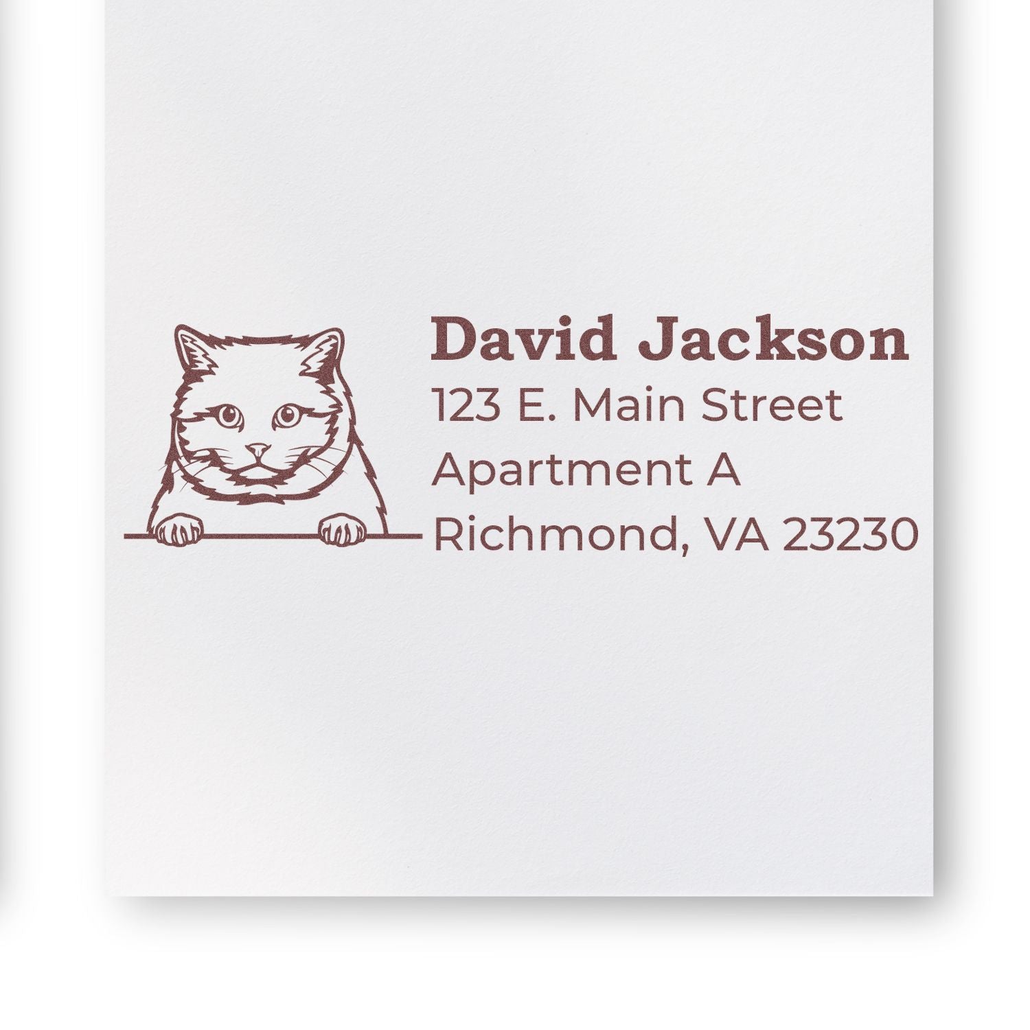 Wood Handle British Shorthair Cat Address Stamp on white paper, featuring a cute cat illustration and sample address text in brown ink. Perfect for personalizing mail with a charming feline touch.