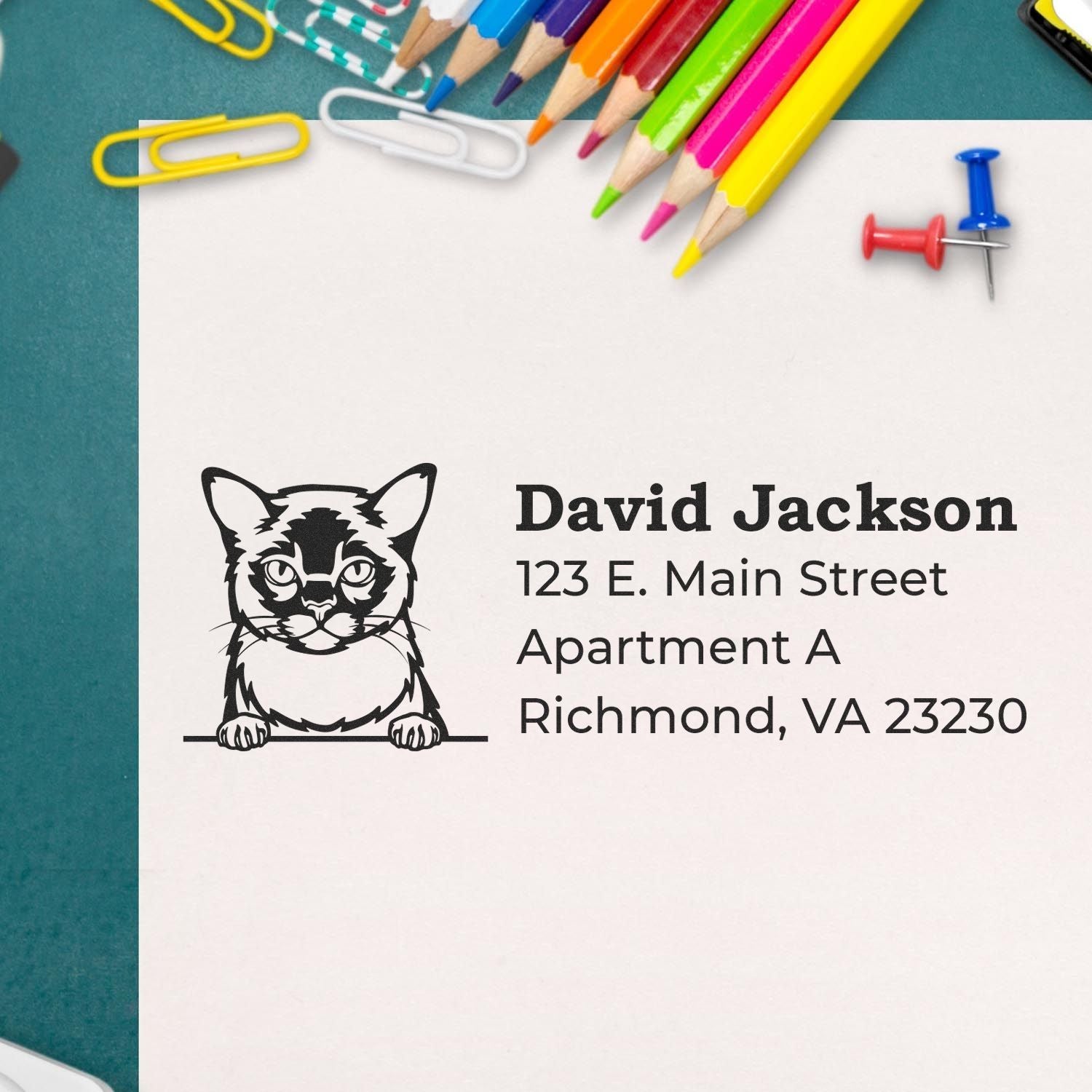 Wood Handle Burmese Cat Address Stamp on paper with a cat illustration and sample address. Surrounding items include colorful pencils, paperclips, and pushpins on a green surface.