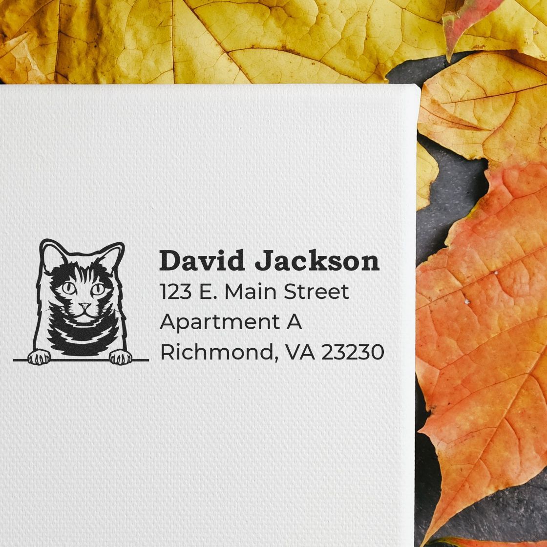 Wood Handle Chartreux Cat Address Stamp on white paper, featuring a cat illustration and address text, placed on autumn leaves background.