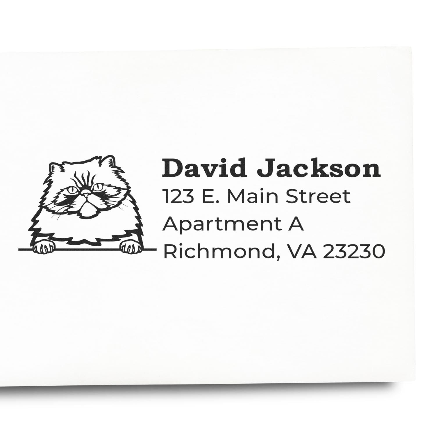 Wood Handle Colorpoint Persian Cat Address Stamp imprint on paper, featuring a cute cat illustration and sample address text in bold, clear font.