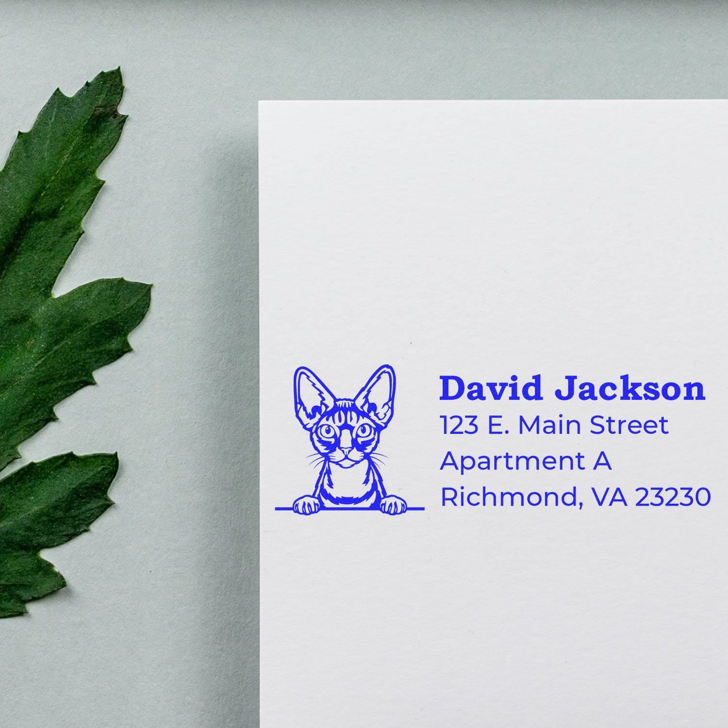 PSI Pre-Inked Peeking Devon Rex Cat Personalized Address Stamp on white paper, featuring a cute cat illustration and blue text. Perfect for adding a personal touch to your mail.