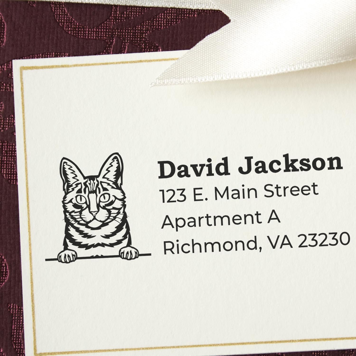 Self-Inking Dragon Li Custom Address Stamp on a card with a cat illustration, featuring the name David Jackson and an address in Richmond, VA. Elegant design on a textured background.