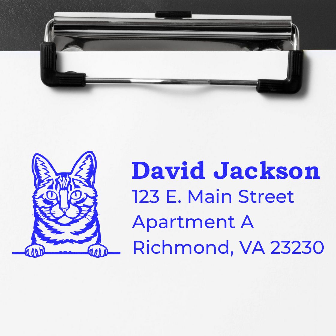 Self-Inking Dragon Li Custom Address Stamp on white paper with a blue cat design and sample address text. Perfect for personalized mailings.