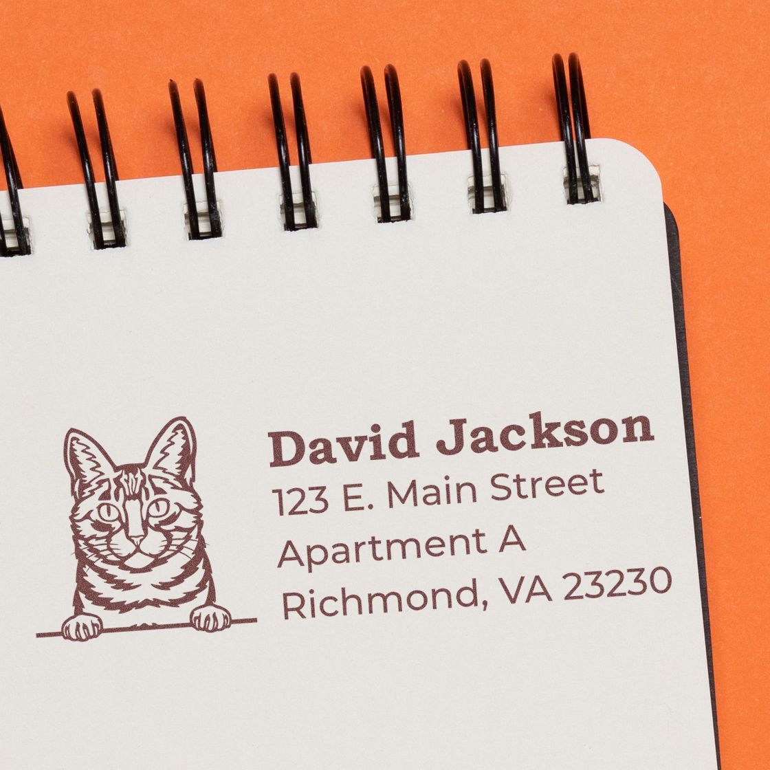 PSI Pre-Inked Peeking Dragon Li Cat Personalized Address Stamp on a notepad, featuring a cat illustration and sample address in brown ink on white paper with an orange background.