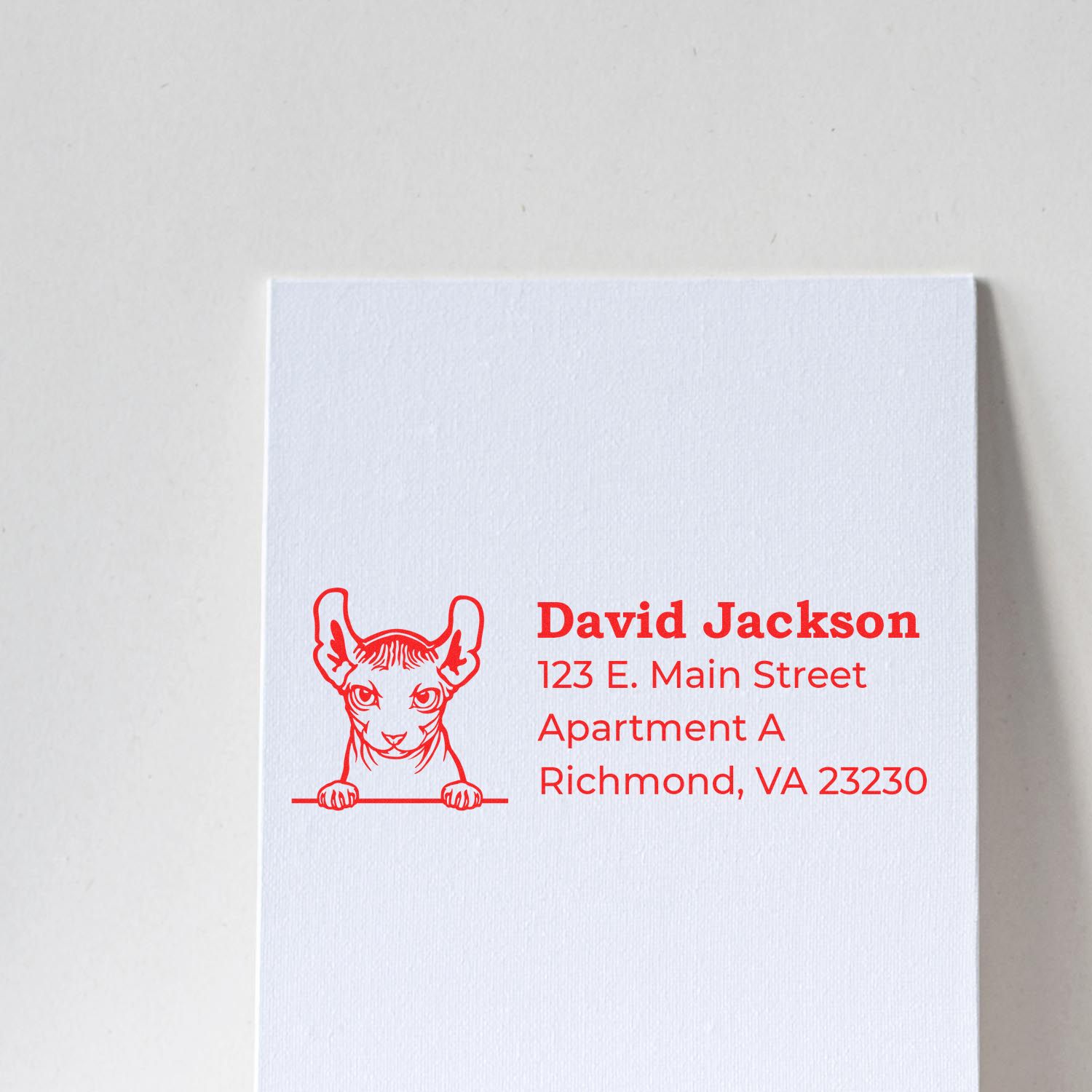 Self-Inking Dwelf Custom Address Stamp in red ink on white paper, featuring a whimsical dwelf illustration above the name and address text.