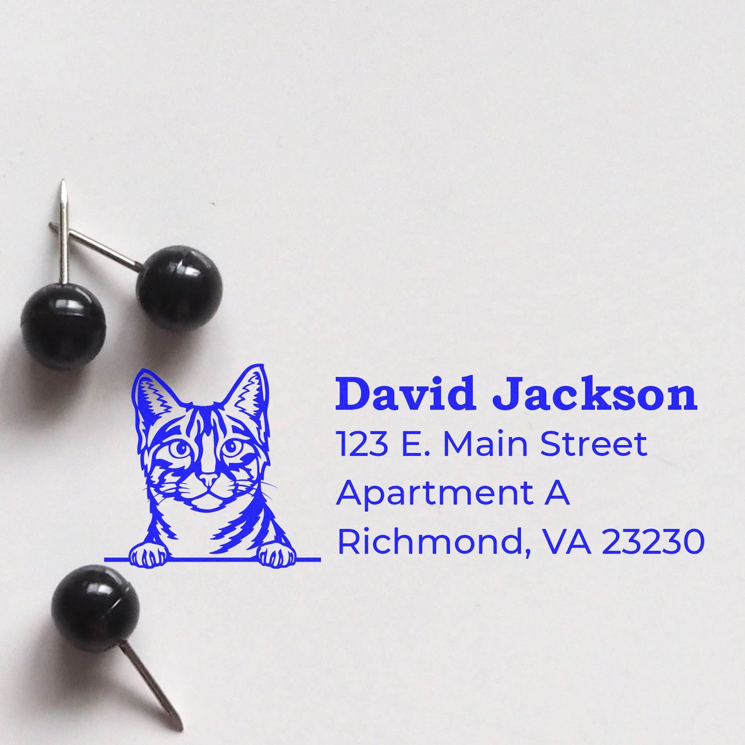 Self-Inking Egyptian Mau Custom Address Stamp featuring a blue cat design with sample text: David Jackson, 123 E. Main Street, Apartment A, Richmond, VA 23230. Black push pins nearby.