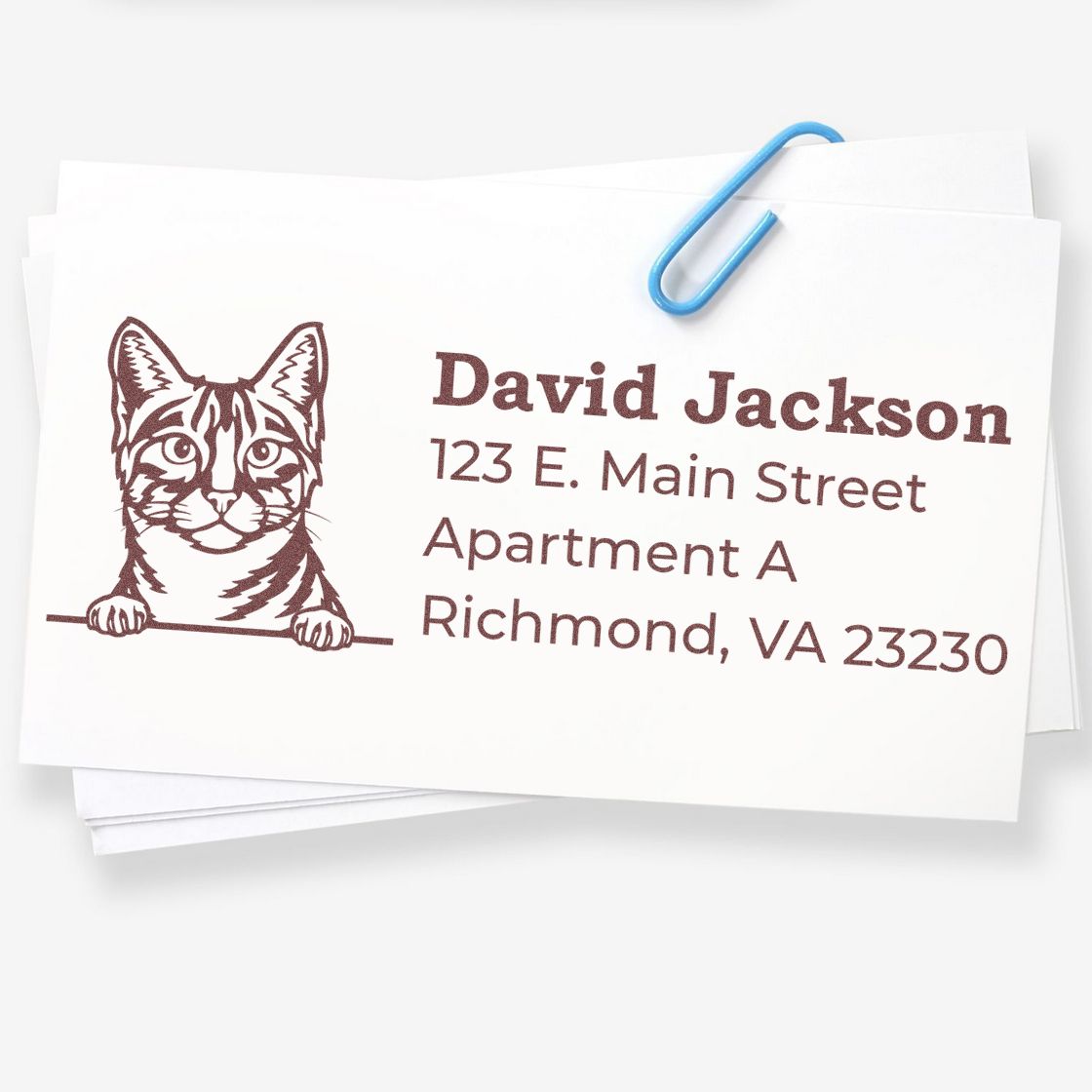 Slim Pre-Inked Egyptian Mau Peeking Cat Return Address Stamp on white cards with a cute cat illustration and sample address. A blue paperclip holds the cards together.