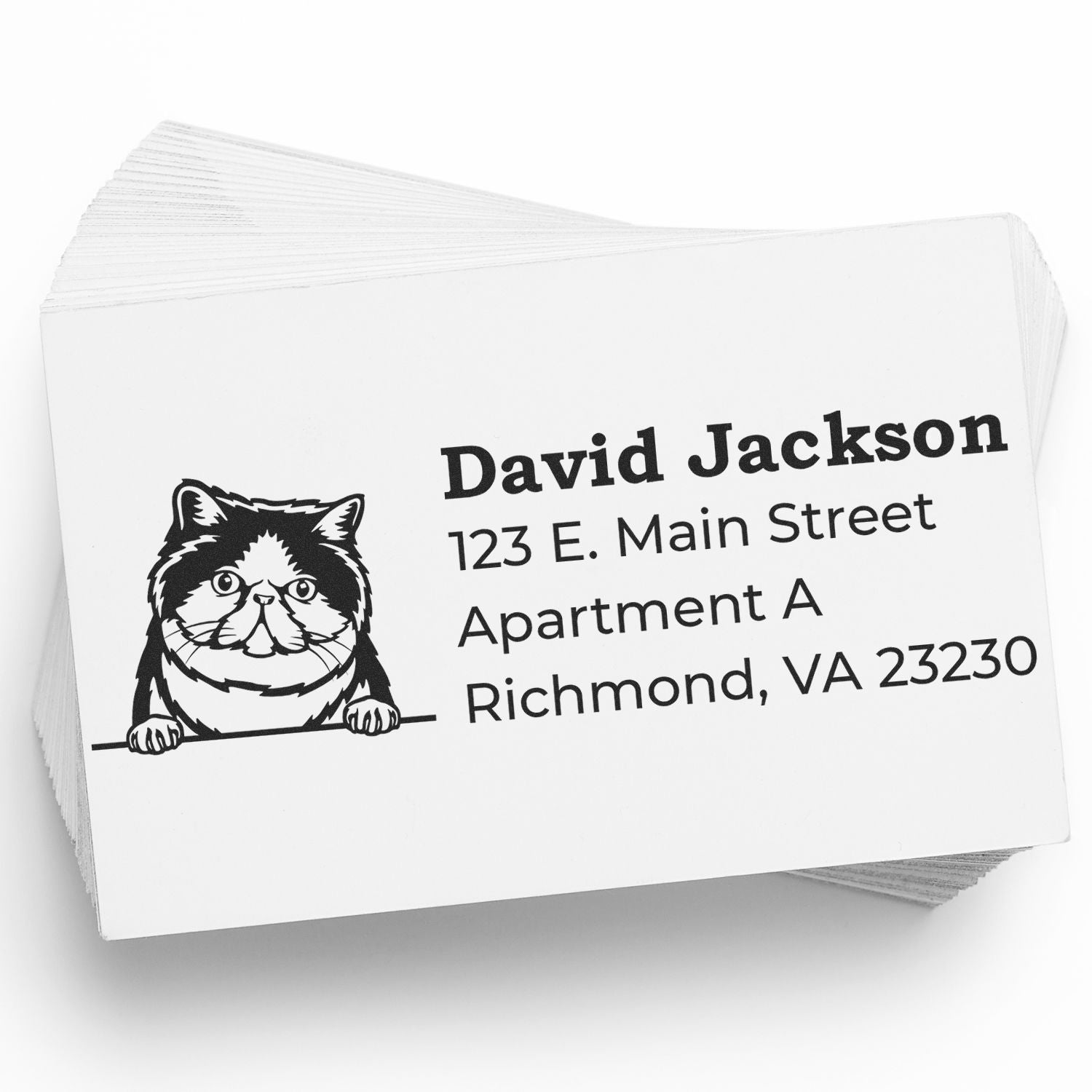 Stack of cards stamped with the Self-Inking Exotic Shorthair Custom Address Stamp, featuring a cute cat illustration and sample address text in black ink.