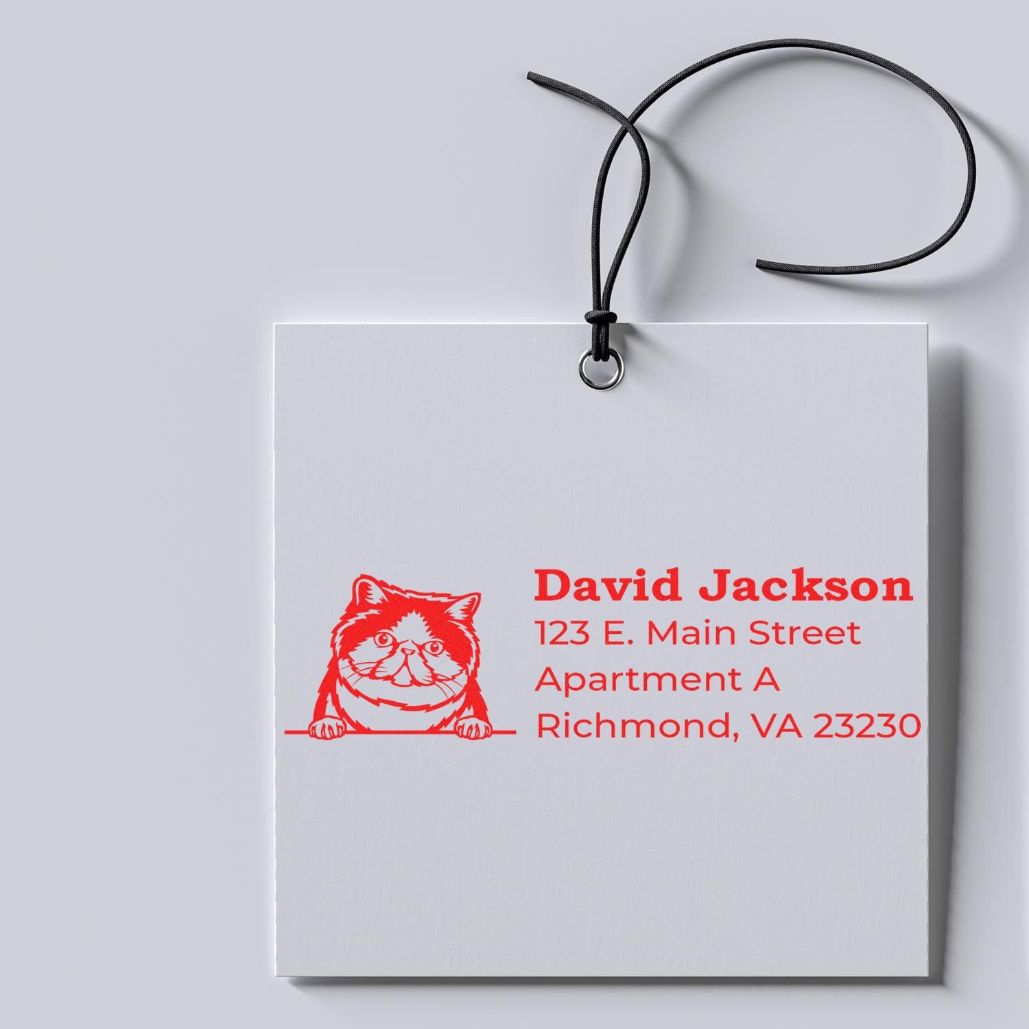 Self-Inking Exotic Shorthair Custom Address Stamp in red ink on a white tag, featuring a cute cat illustration and sample address text.