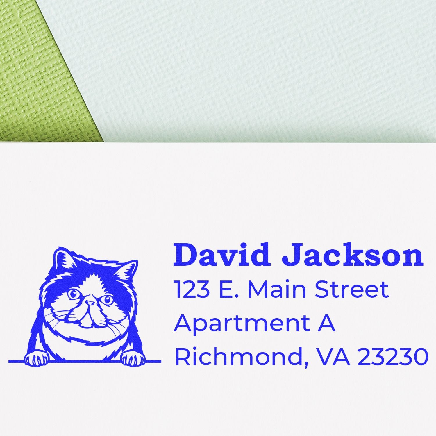 Self-Inking Exotic Shorthair Custom Address Stamp featuring a blue cat design with the name David Jackson and address details on a textured green and white background.