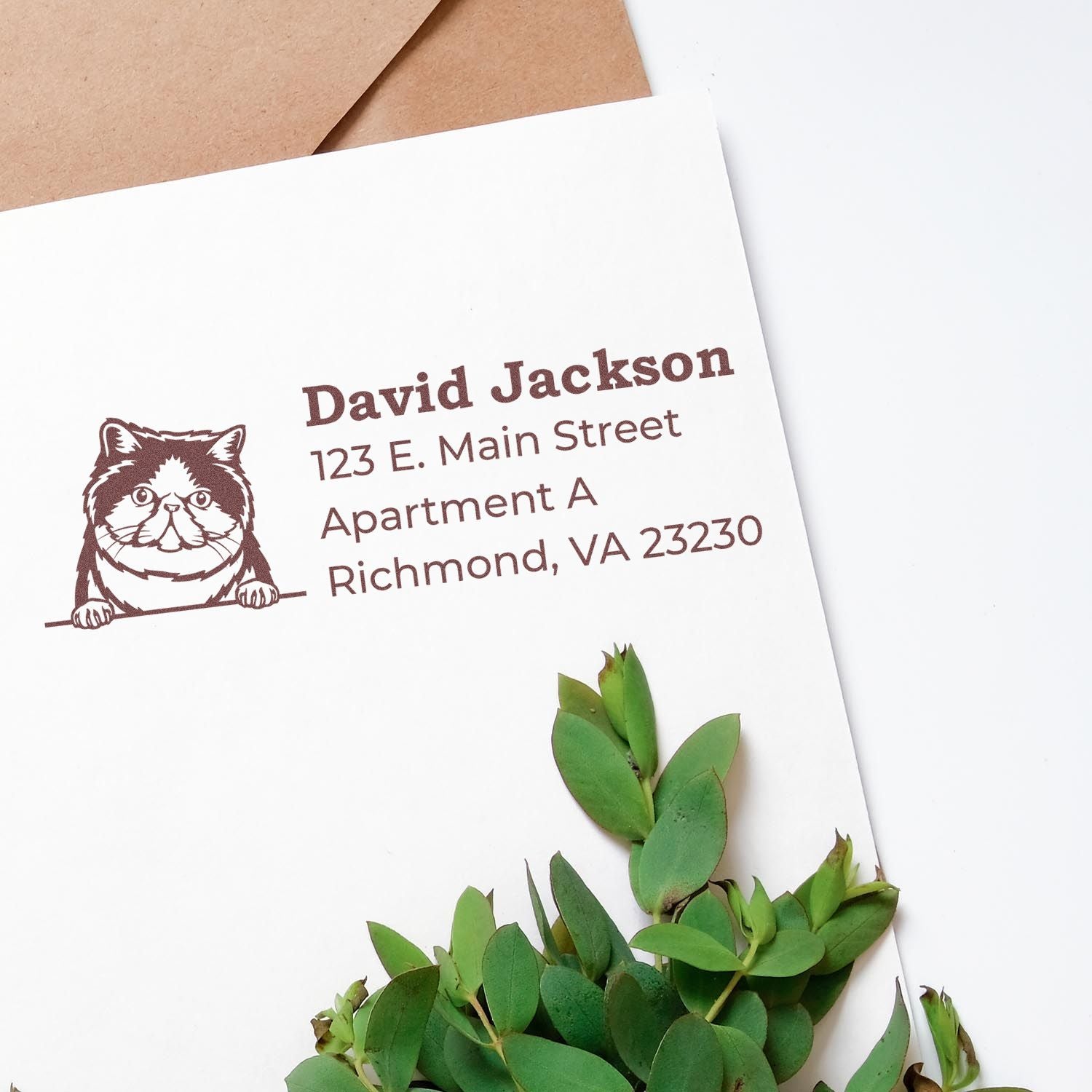 Self-Inking Exotic Shorthair Custom Address Stamp on white envelope with cat illustration, brown text, and green leaves.