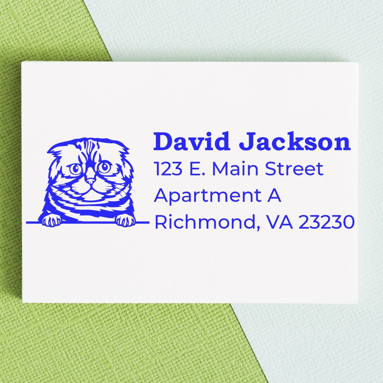 Wood Handle Foldex Cat Address Stamp on a white card with a blue cat illustration and sample address text, placed on a textured green and light blue background.