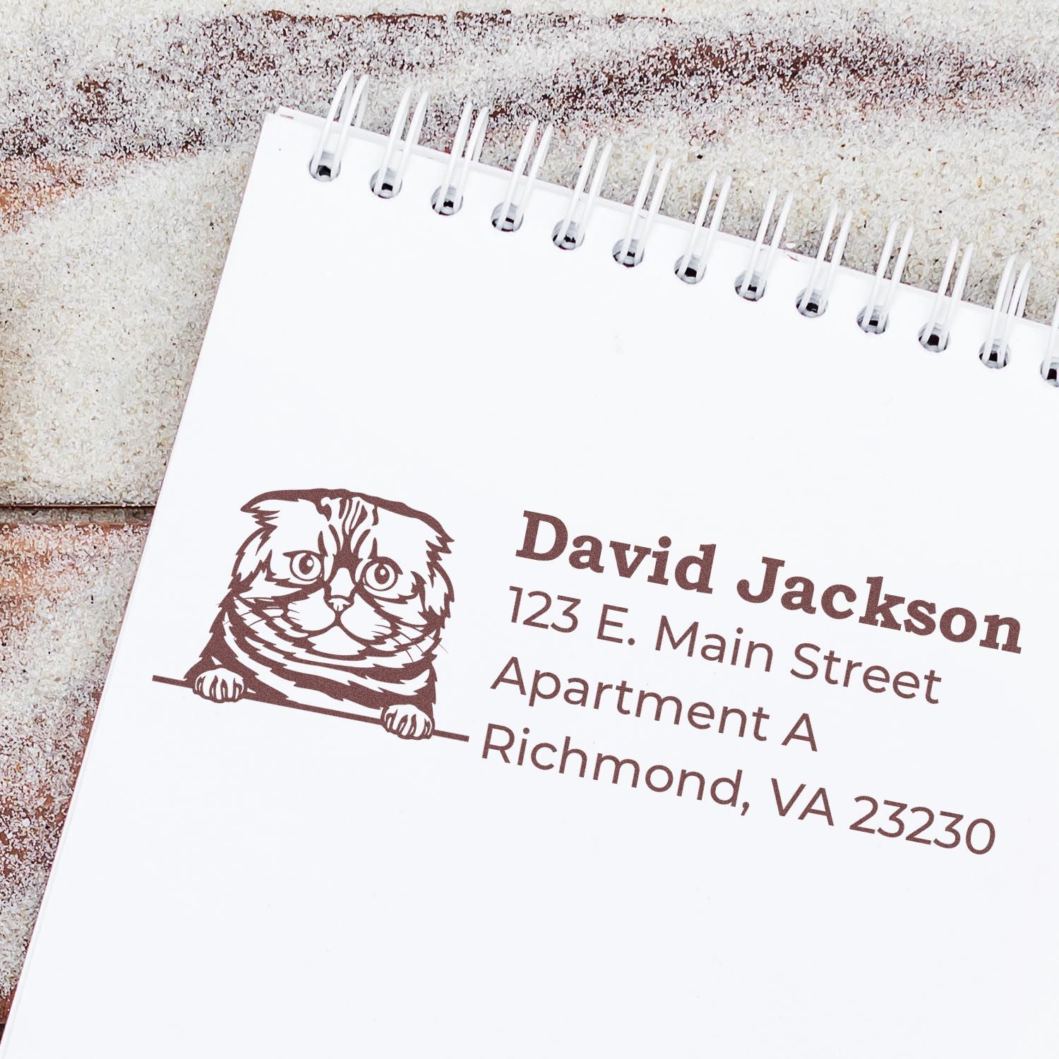 PSI Pre-Inked Peeking Foldex Cat Personalized Address Stamp on a notepad, featuring a cute cat design with sample address details in brown ink.