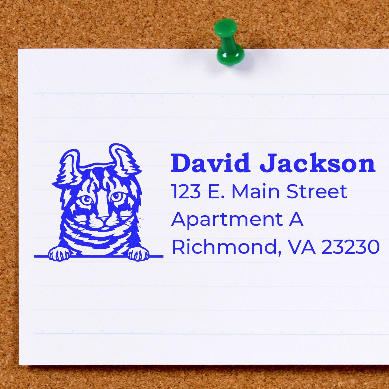 Self-Inking Highlander Custom Address Stamp featuring a blue cat design on a white card with the address: 123 E. Main Street, Apartment A, Richmond, VA 23230, pinned to a corkboard.