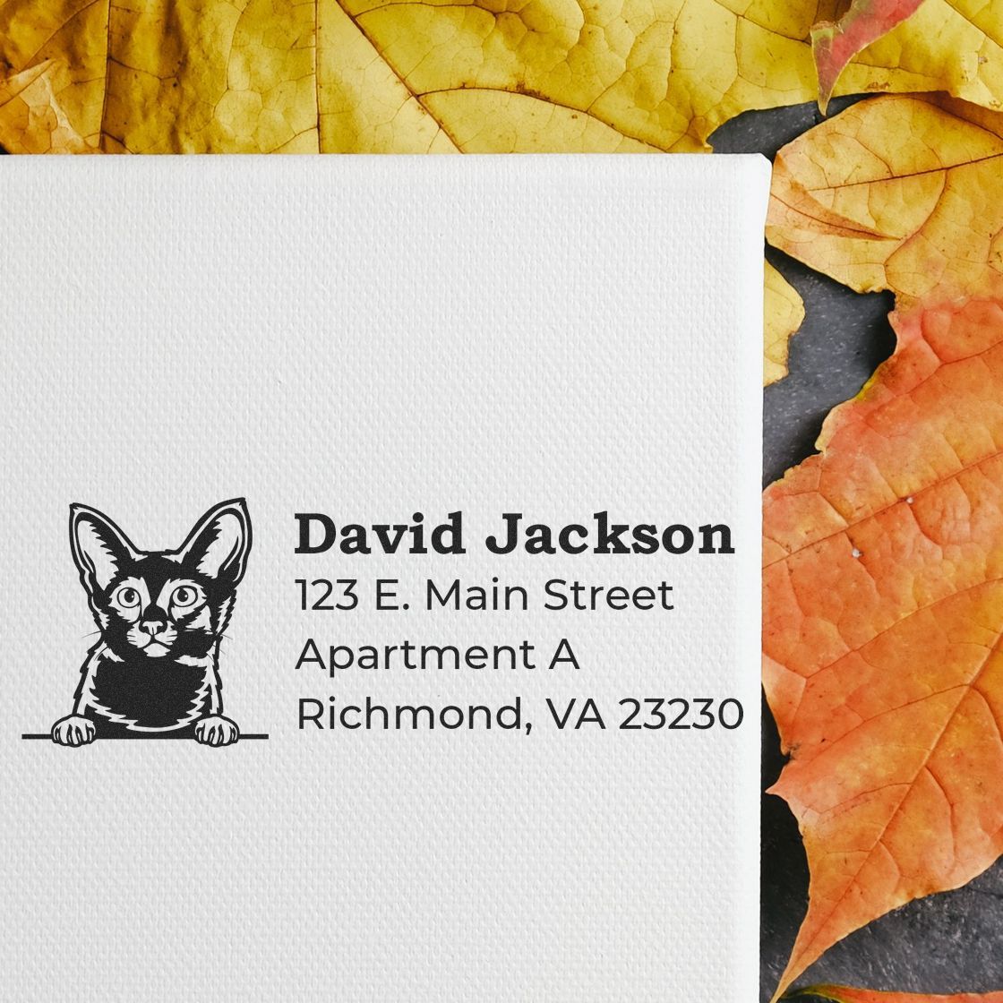 Wood Handle Javanese Cat Address Stamp on white paper with a cat illustration and address text. Background features autumn leaves in yellow and orange hues.